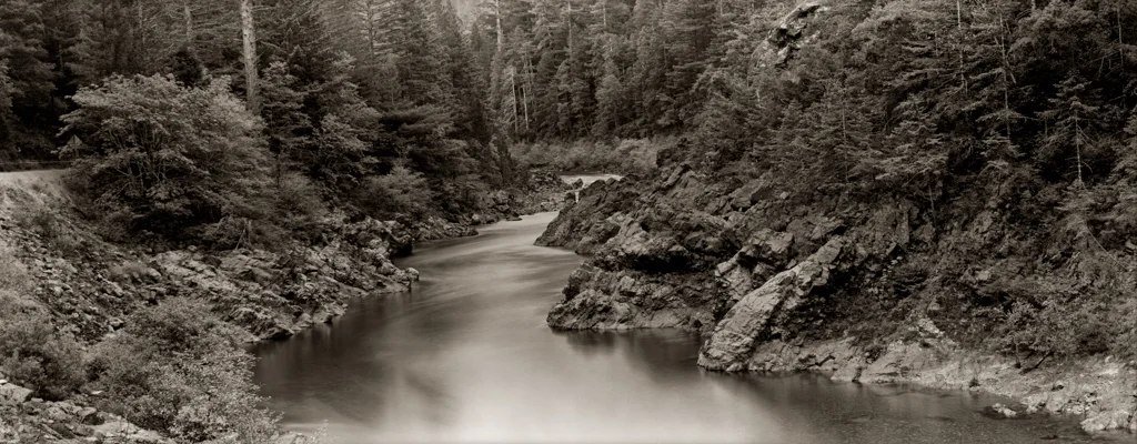 redwood (9 of 9).jpg