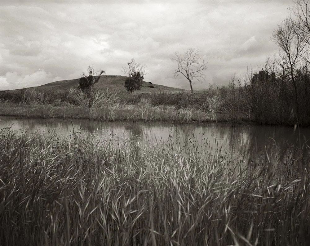 Makima Laguna.jpg