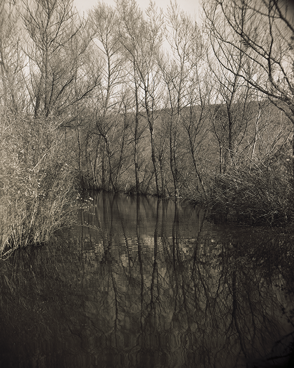 Lagunacanyon5x7trees reflection.png