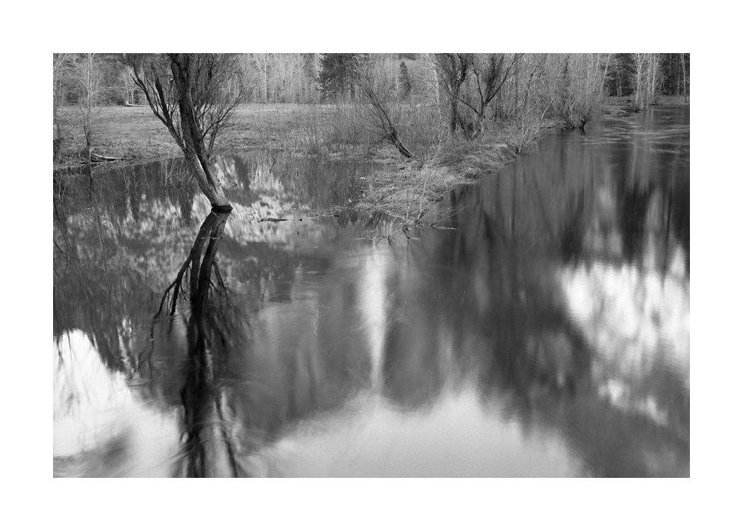 Fall reflection.jpg