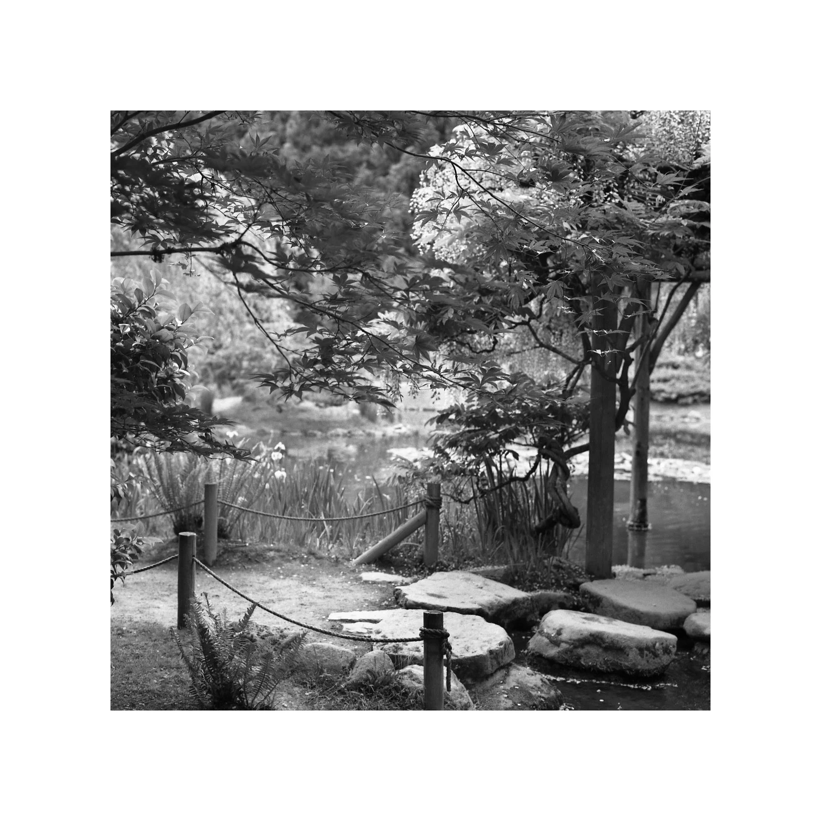 Zen garden.jpg
