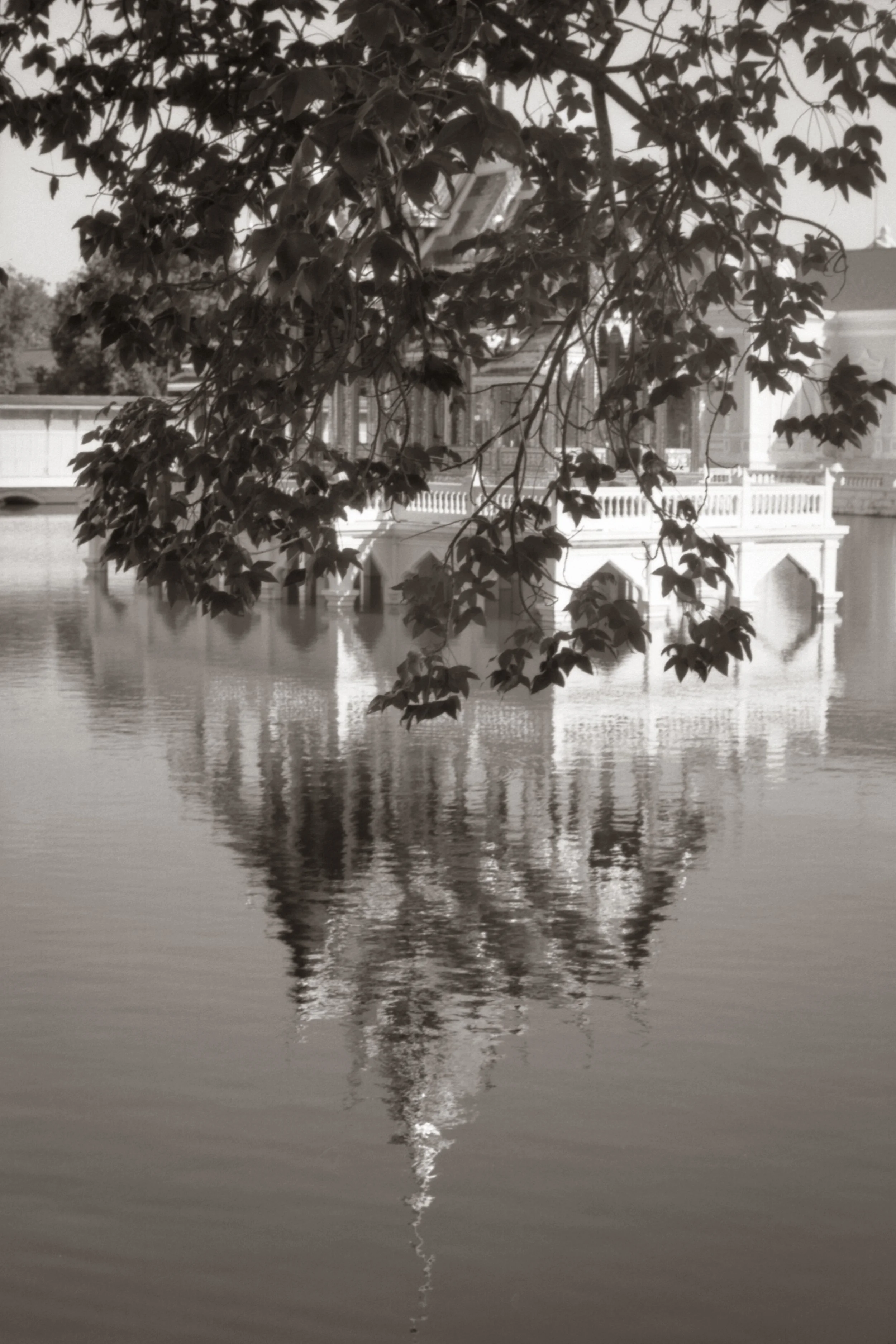 king palace003.jpg