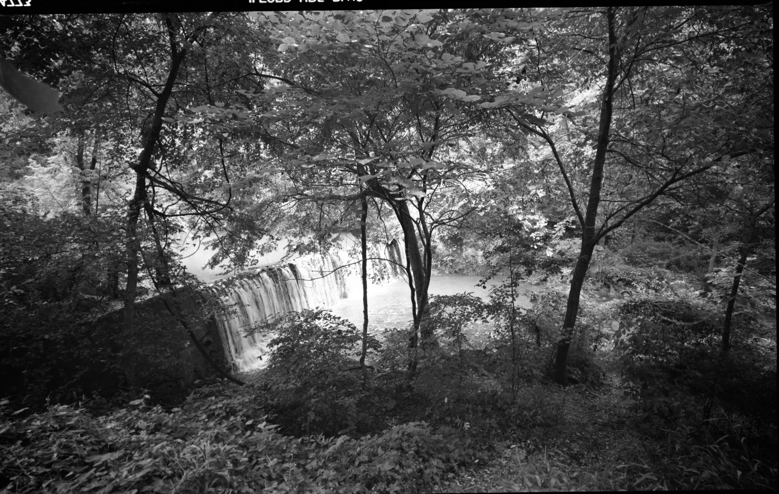 Tahlequah fall001.jpg