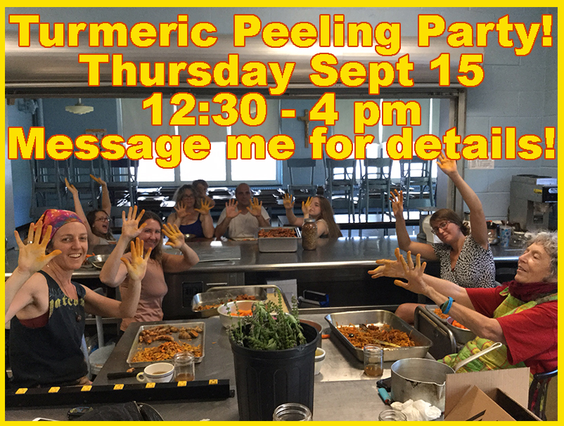 Turmeric Peeling Party Sept.jpg