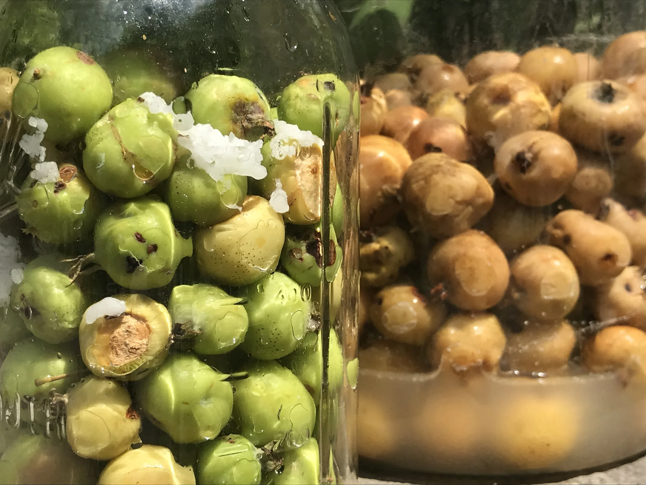 Live Indian Fermentation workshop