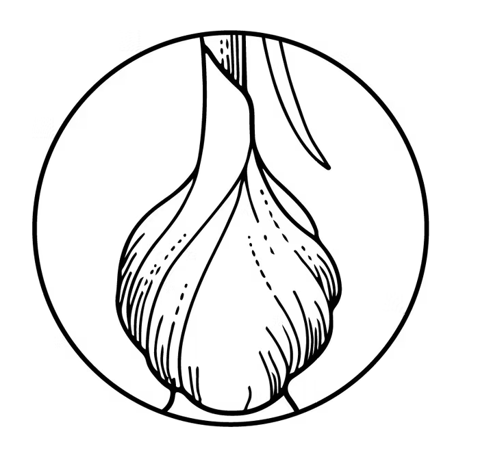 Hudson Valley Garlic Festival 