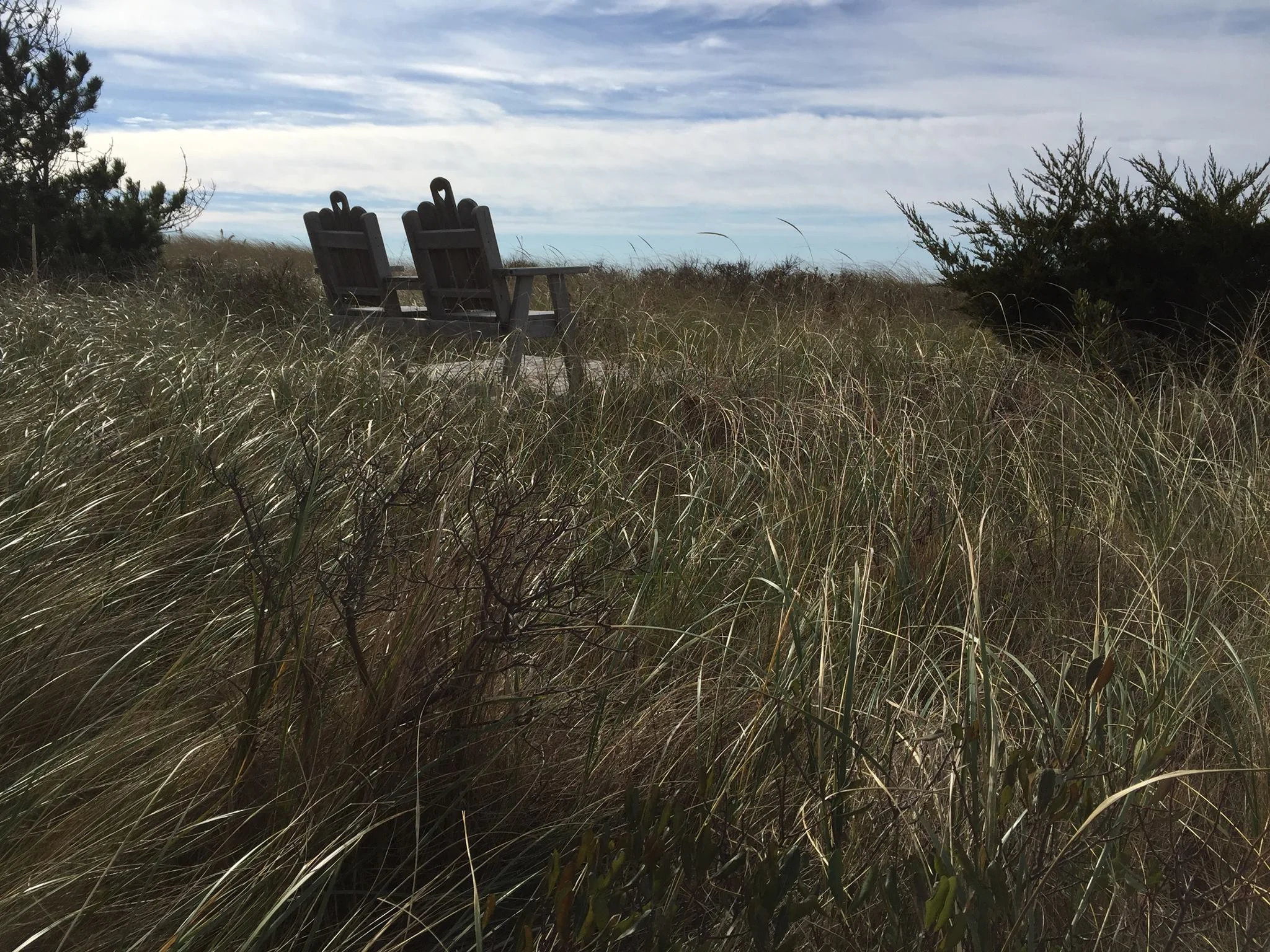 Cape Cod bench.jpeg