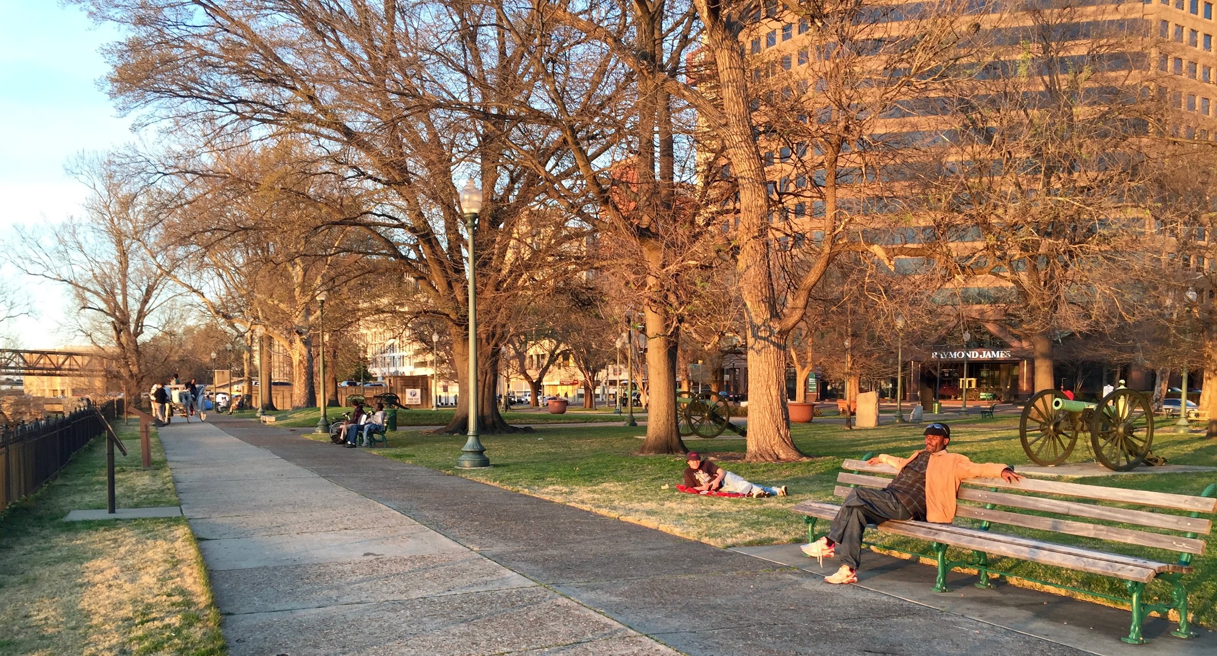 Afternoon in Confederate Park