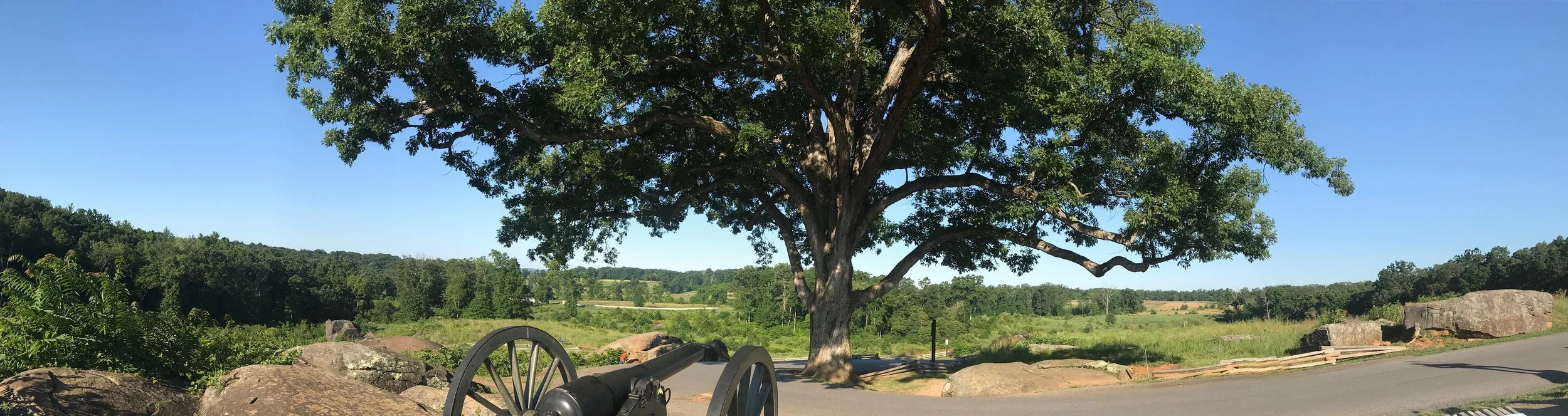 The "witness tree" above Devil's Den.