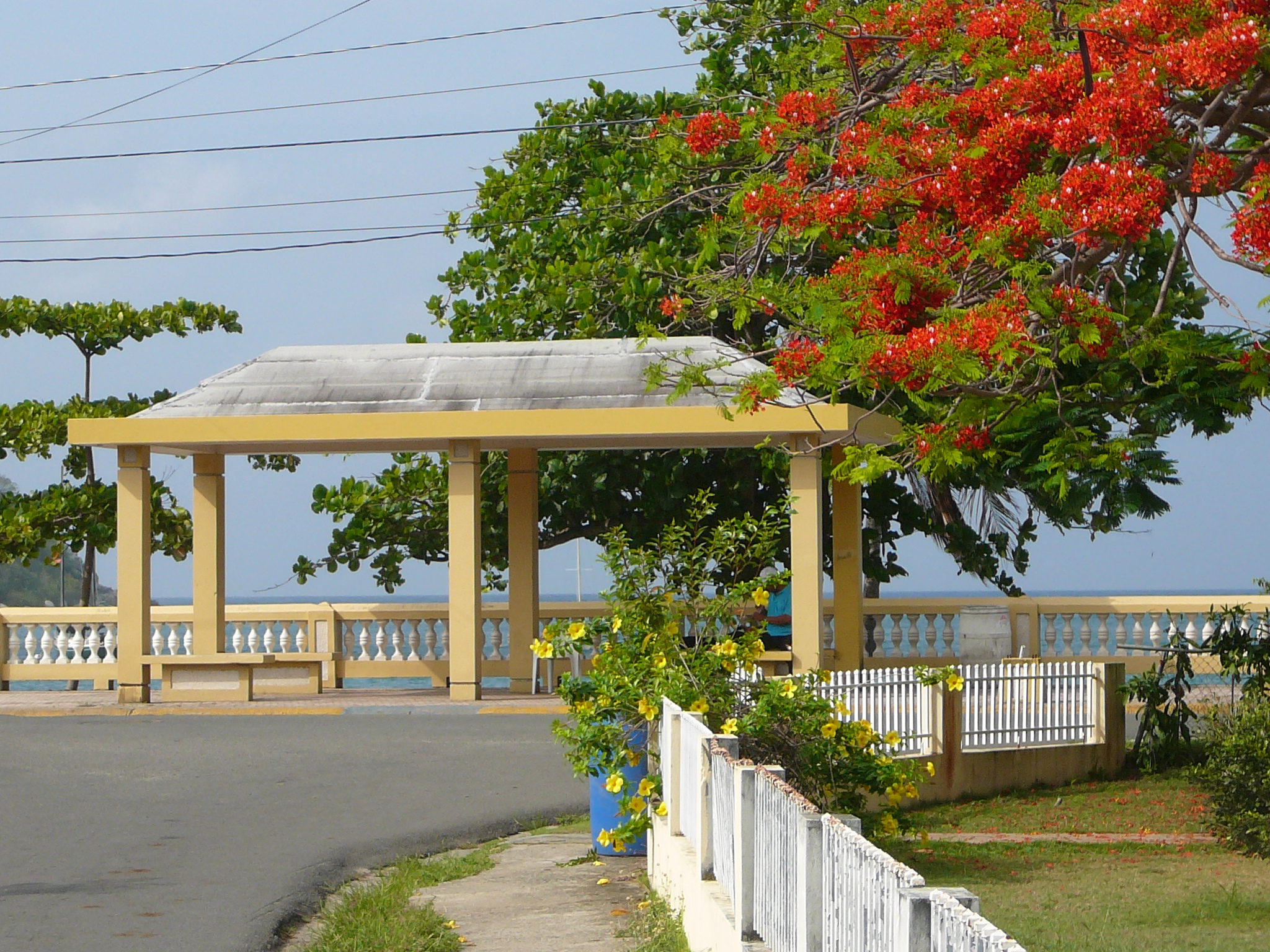  The Malecon at Esperanza, on the south coast of Vieques, long before the hurricane hit. Rick Holmes photo 