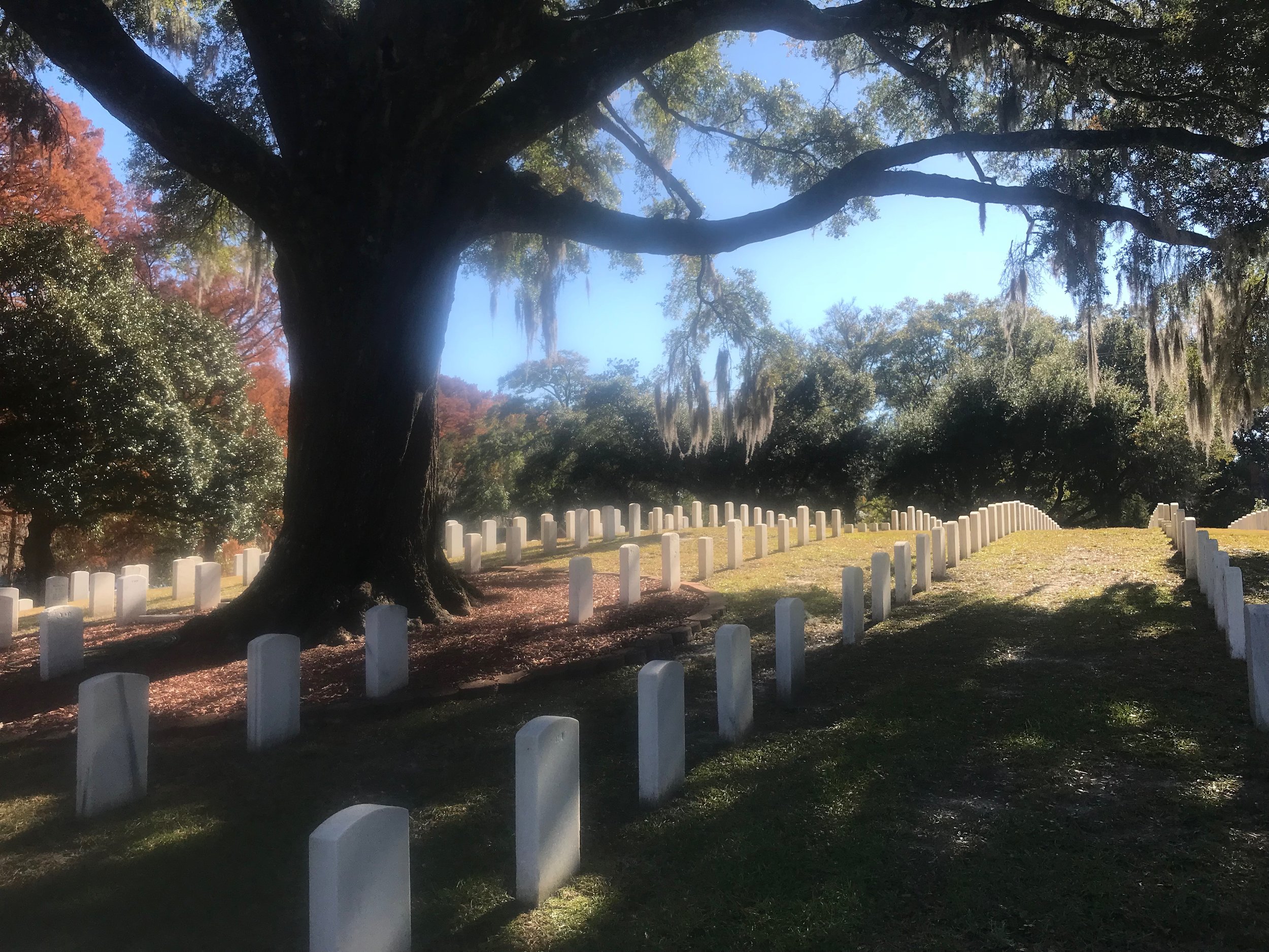  Wilmington National Cemetery has a section where more than 500 "colored troops" who fought for the Union are buried. 