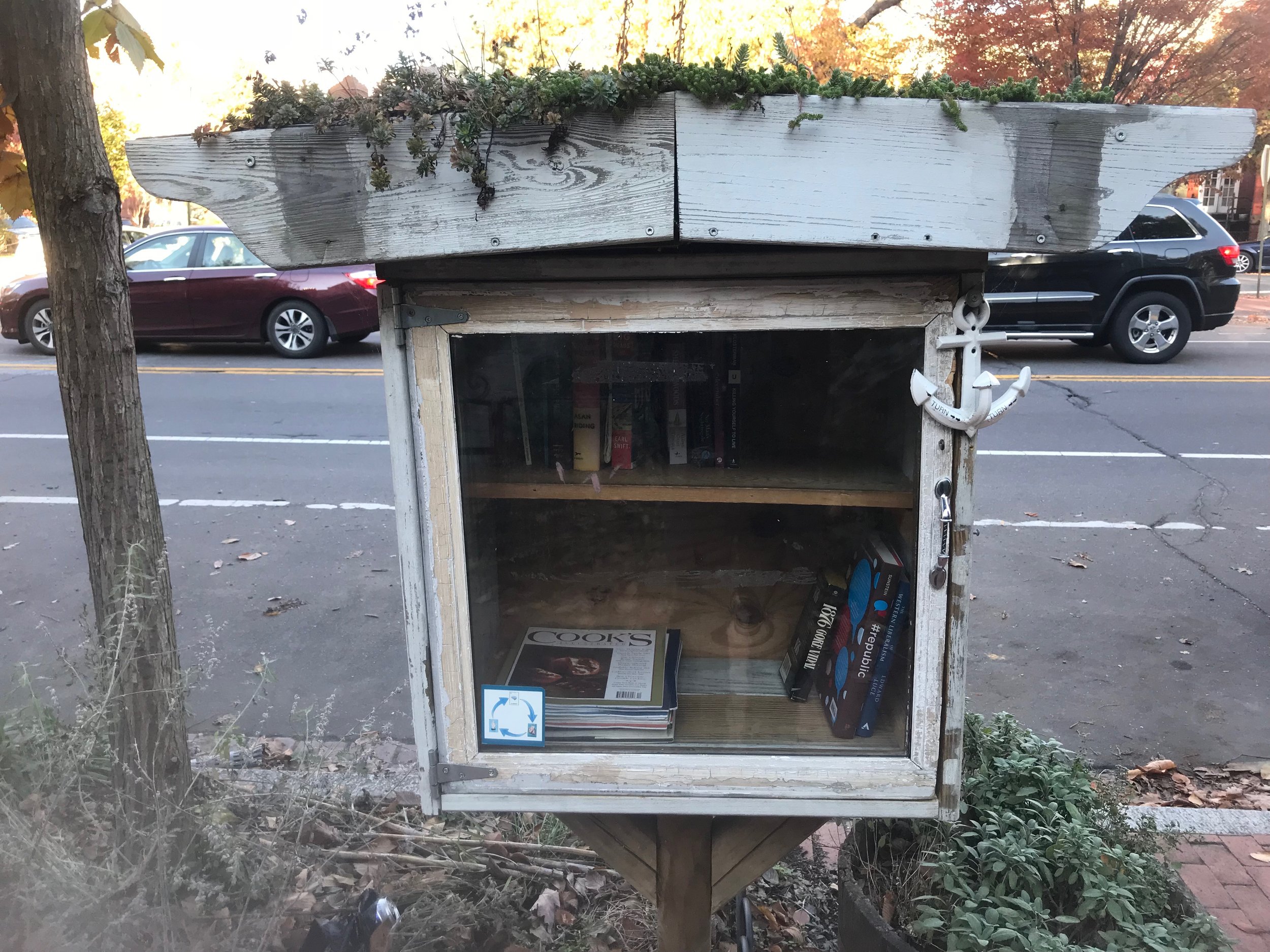  A Little Free Library box in Washington, DC 