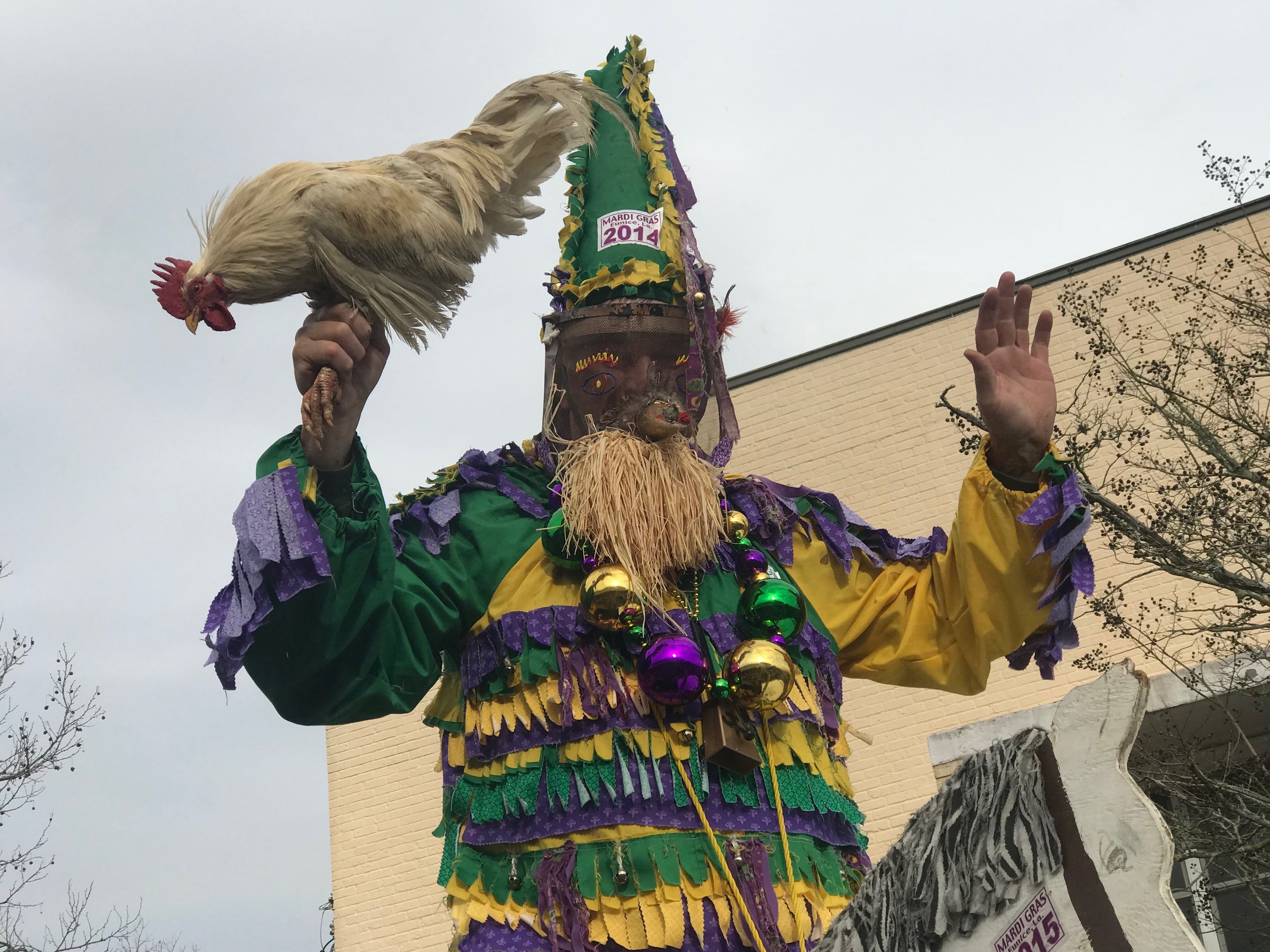  In the Cajun community of Eunice, Mardi Gras revelers wear traditional homemade costumes, and sometimes bring chickens to the parade. 