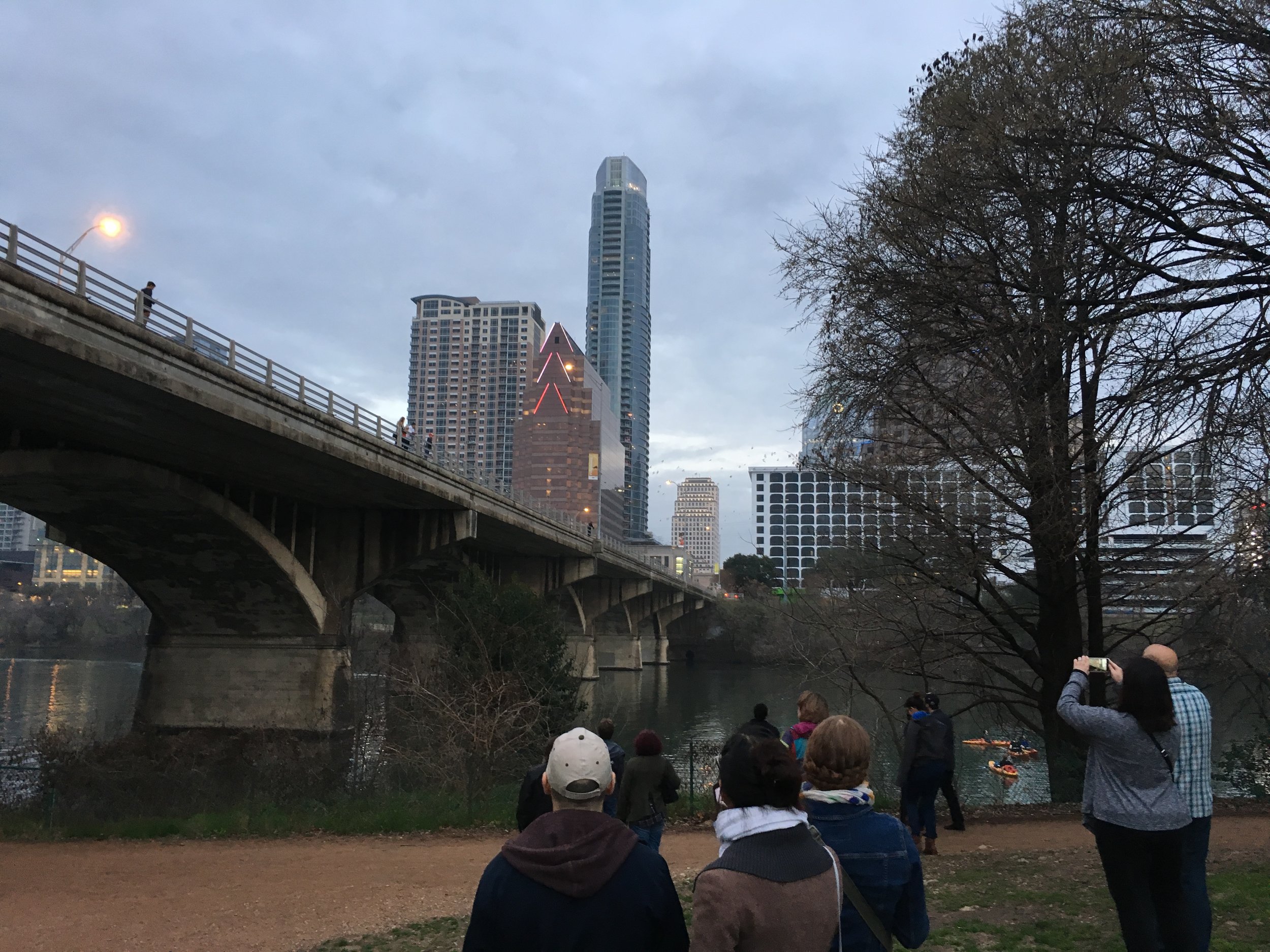  Watching the bats fly from under the Congress Avenue Bridge in Austin. 