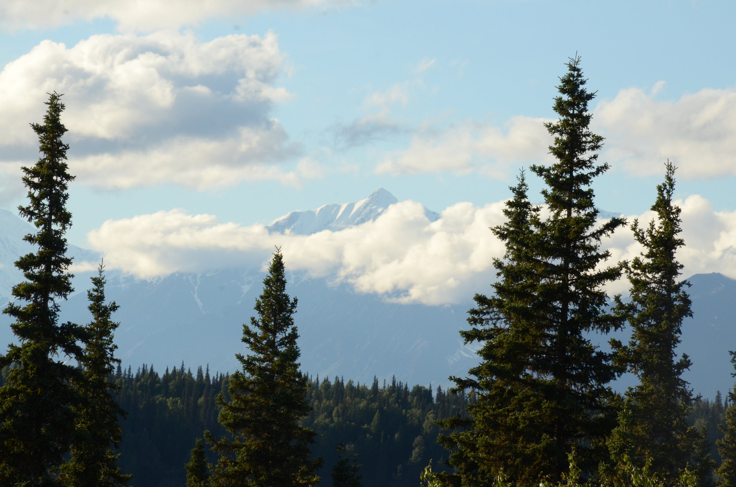  The clouds part, briefly, to reveal Denali. The 20,310-foot mountain creates its own weather, which keeps it hidden in clouds two days out of three, even in summer. 
