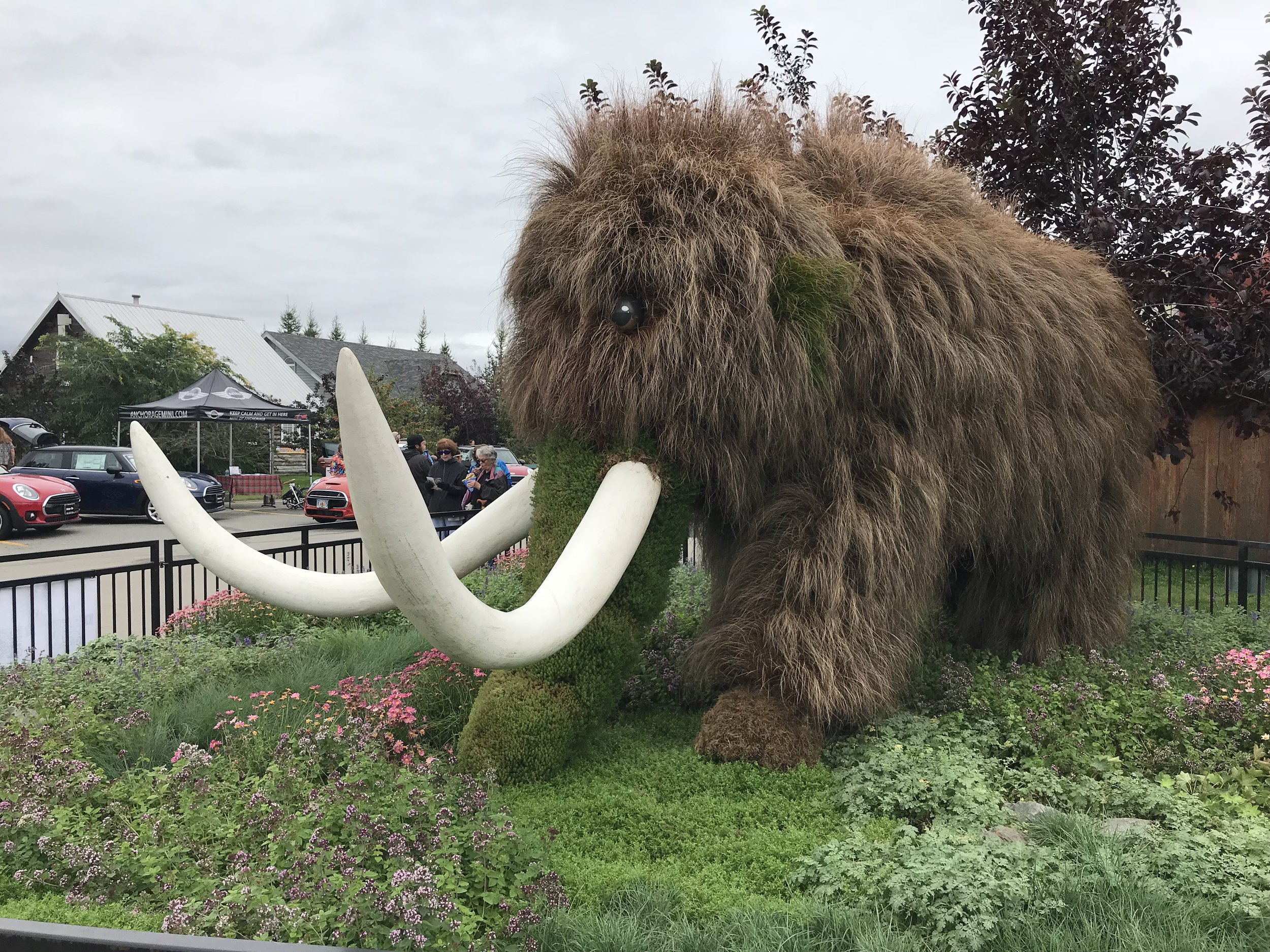 A wooly mammoth grows at the Alaska State Fair.