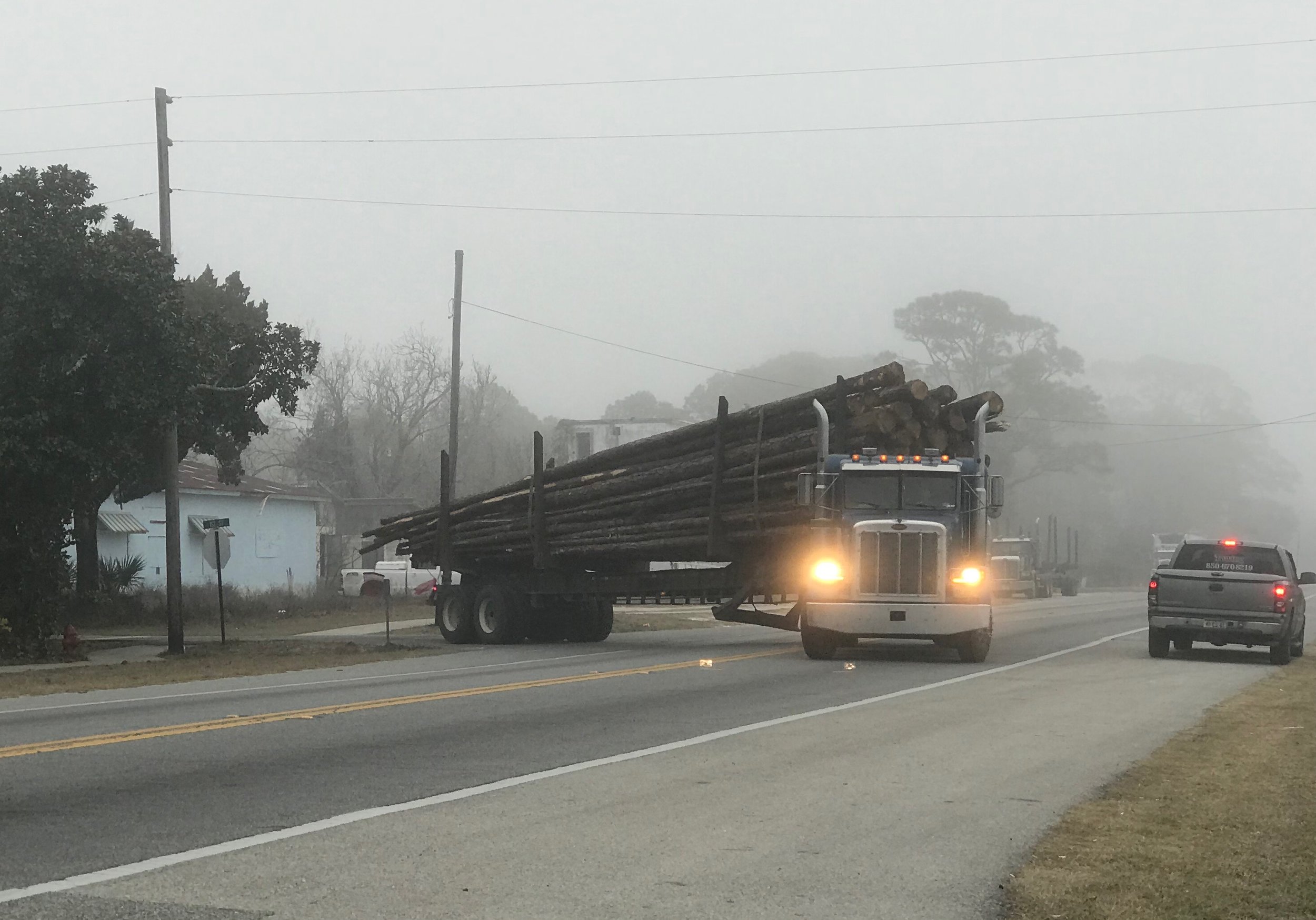  Timber trucks are a frequent sight on Rte. 98. 