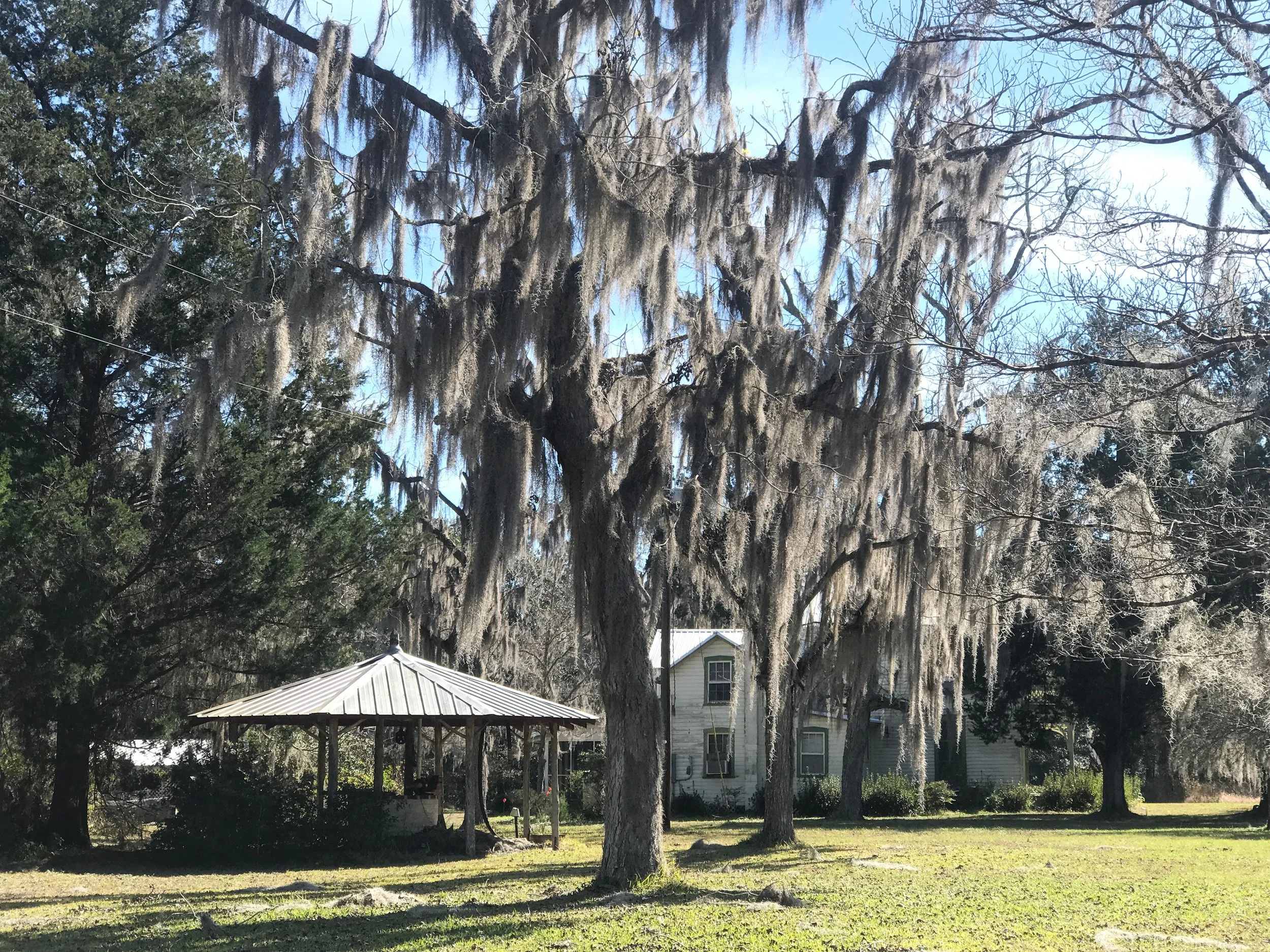 This house, once owned by one of the community's few white residents, is all that's left of Rosewood, a village burned to the ground by a white mob in 1923.
