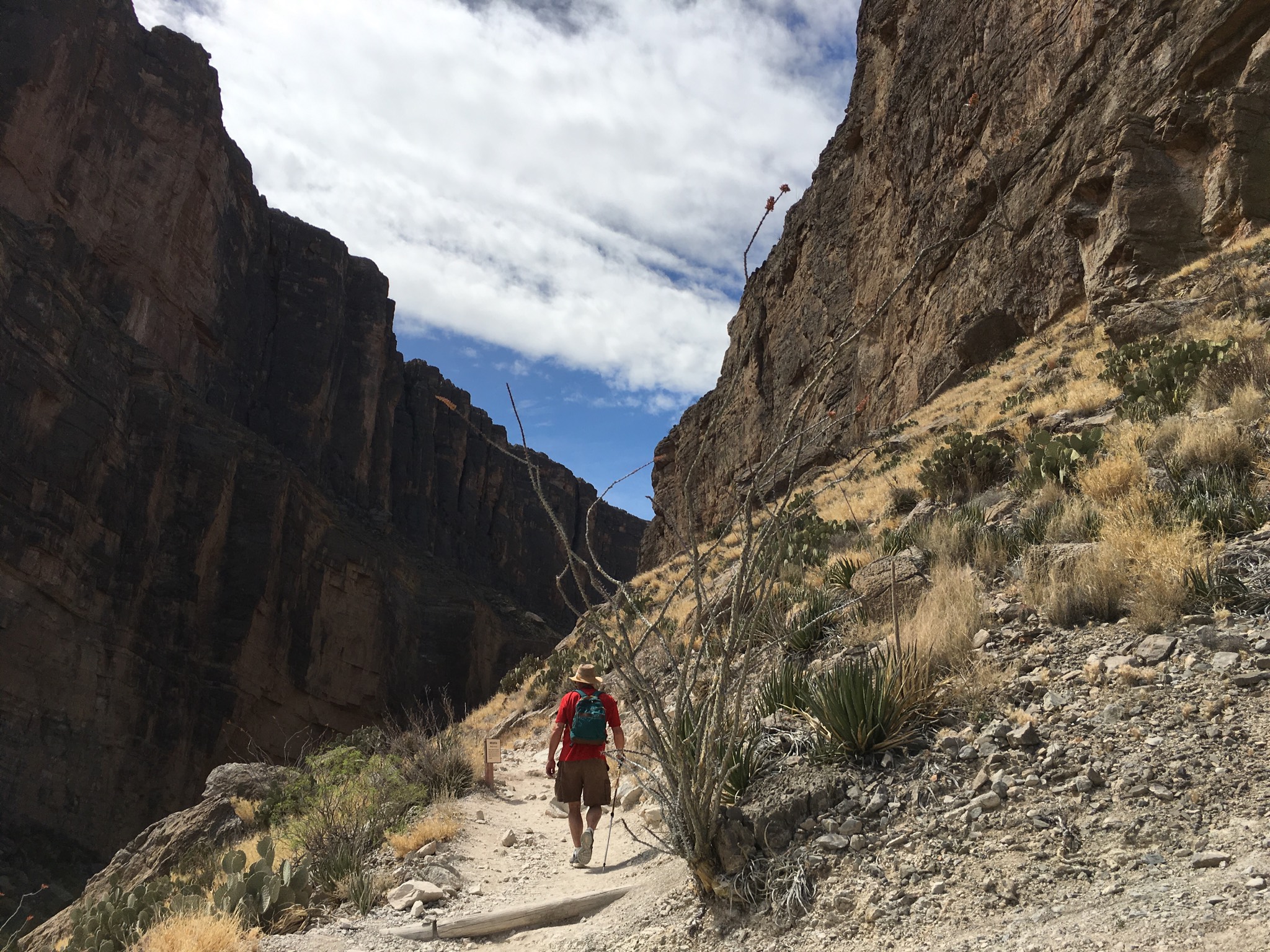  Off-road, headed up the trail to Santa Elena Canyon in Big Bend National Park. Photo by Ellen Holmes 