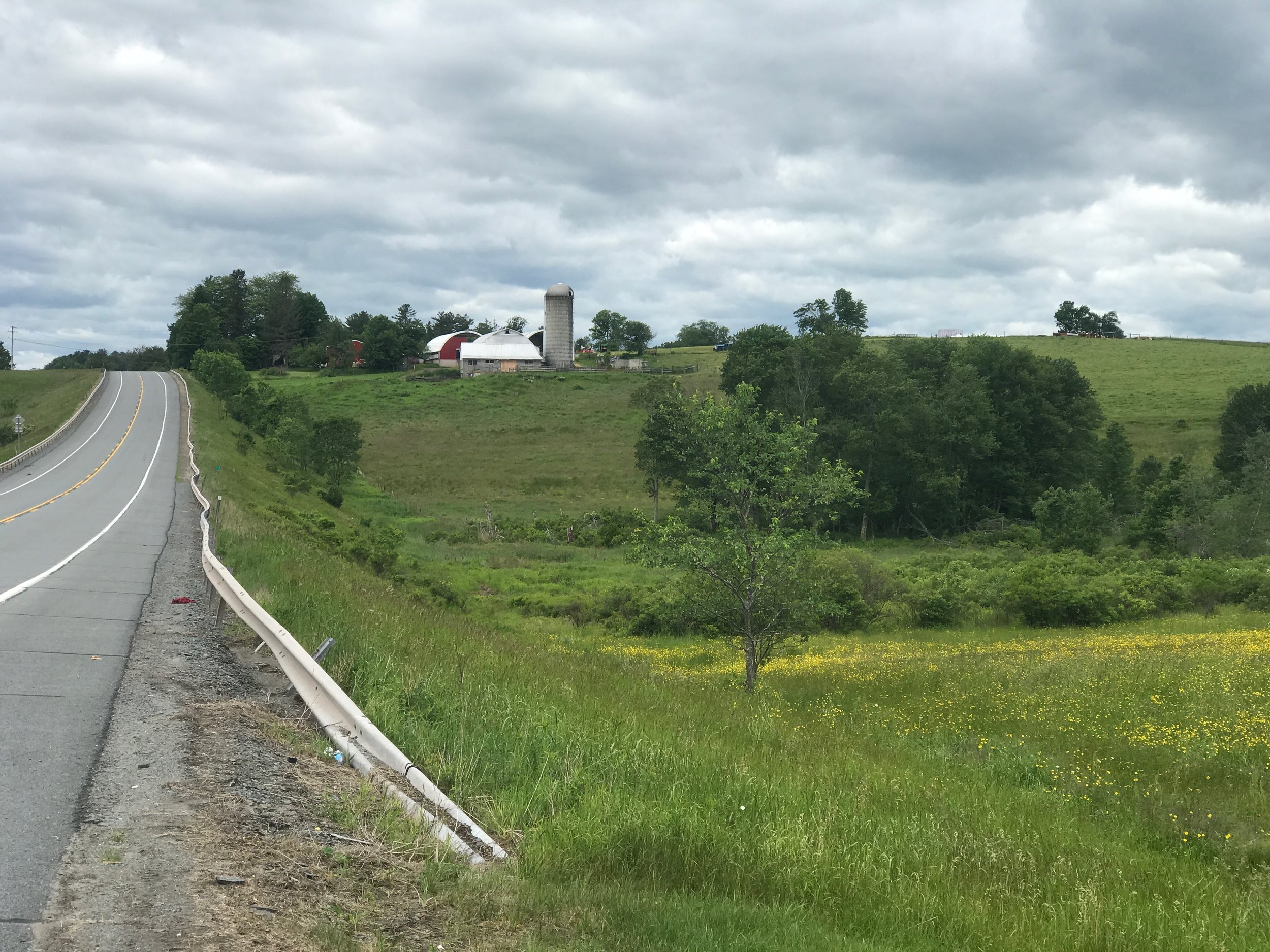  The pastures around the site of the 1969 Woodstock music festival are more quiet these days. 