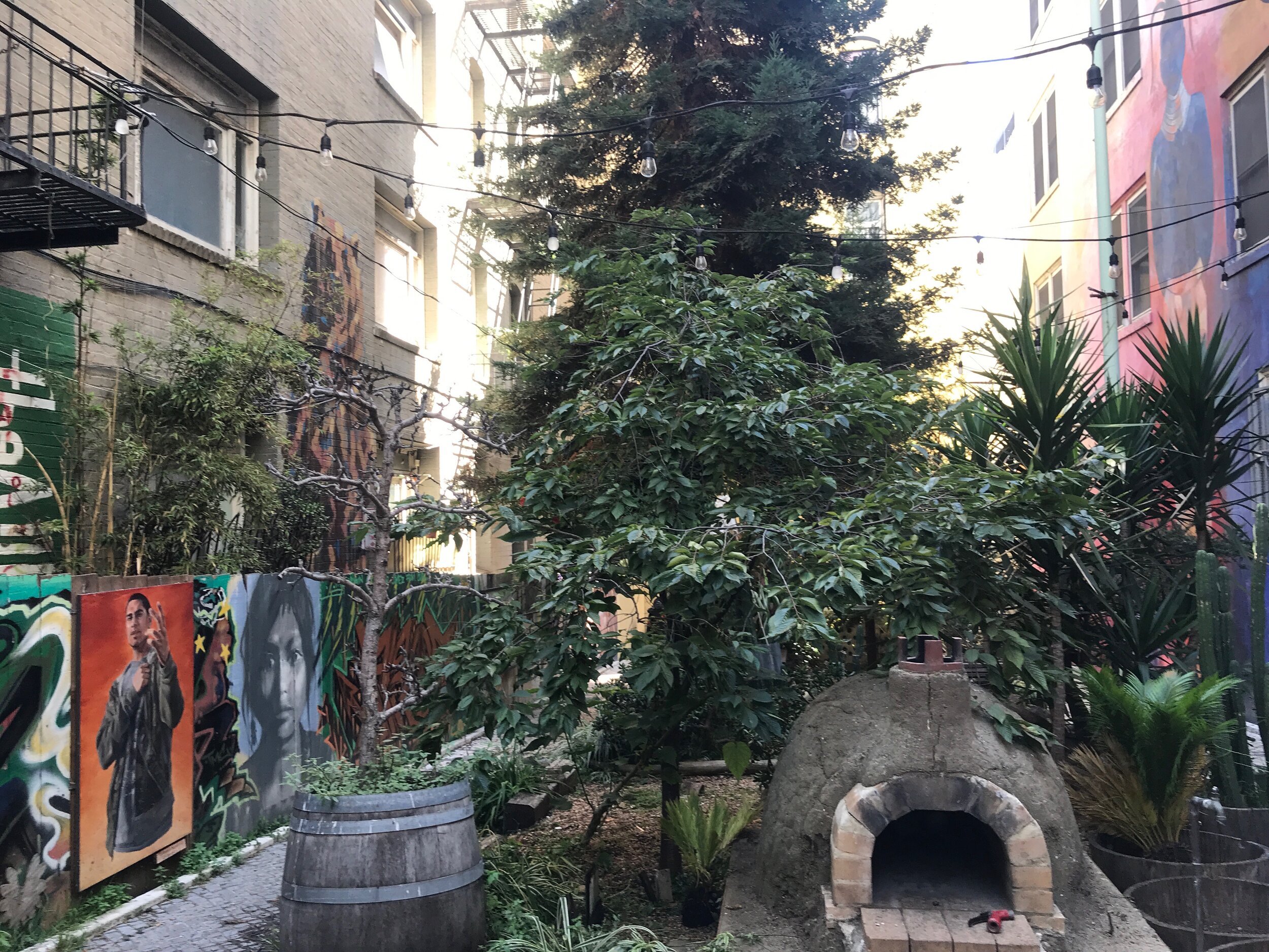  A vacant lot has recently been planted by community organizations and is now known as the “Tenderloin National Forest.” 