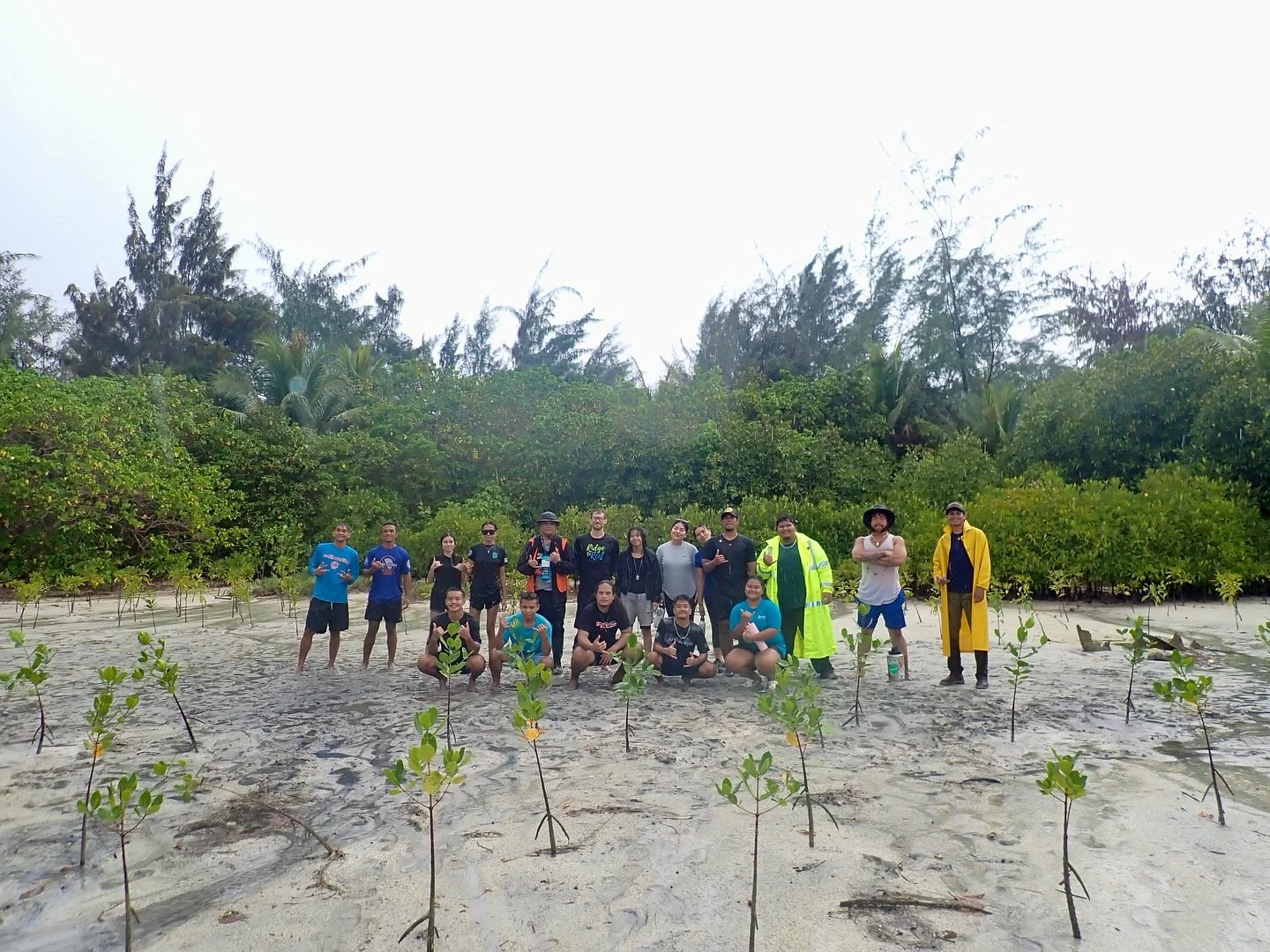 🌿 On July 7, we partnered with the Division of Coastal Resources Management (DCRM) and their summer interns for a morning of mangrove planting. Together, we successfully outplanted a combination of 63 Bruguiera gymnorhiza and Rhizophora mucronata tr