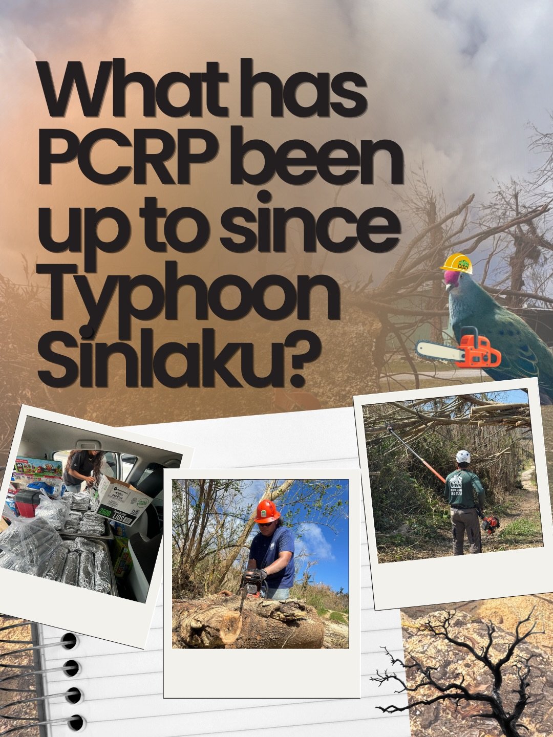 Swipe to see what we've been up to at PCRP since the typhoon ➡️

We are currently accepting applications for Tree Cutting Services (Saipan &amp; Tinian) and for our Adopt-a-Tree Program (Saipan)! 

Our office phone is currently down so please contact