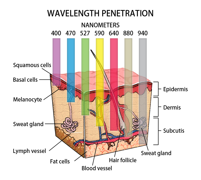 samling Arrangement Godkendelse LED LIGHT THERAPY - Bare Element