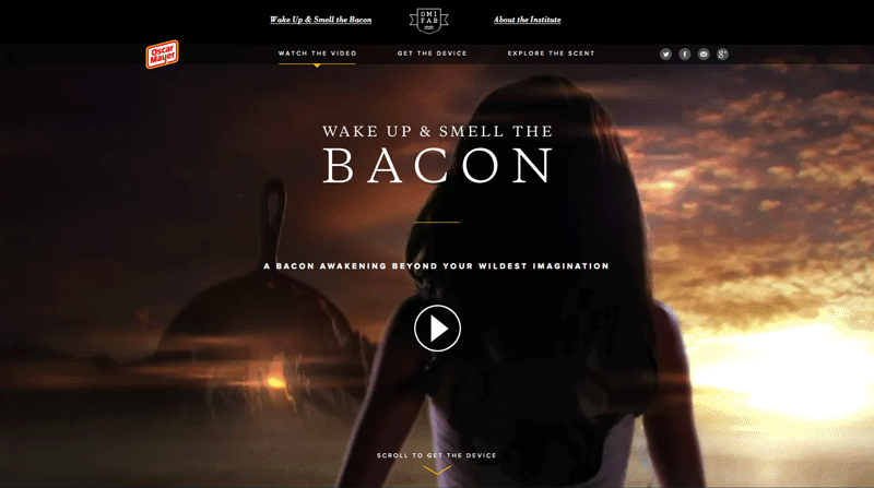 WUSTB_Website-1.gif