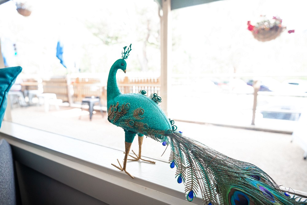 Peacock looking out to Yarra St