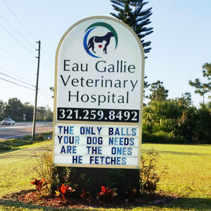 Bonce's own personal thread. Volume IX - Page 6 Funny-veterinarian-signs-66-59aead115e7fd__700