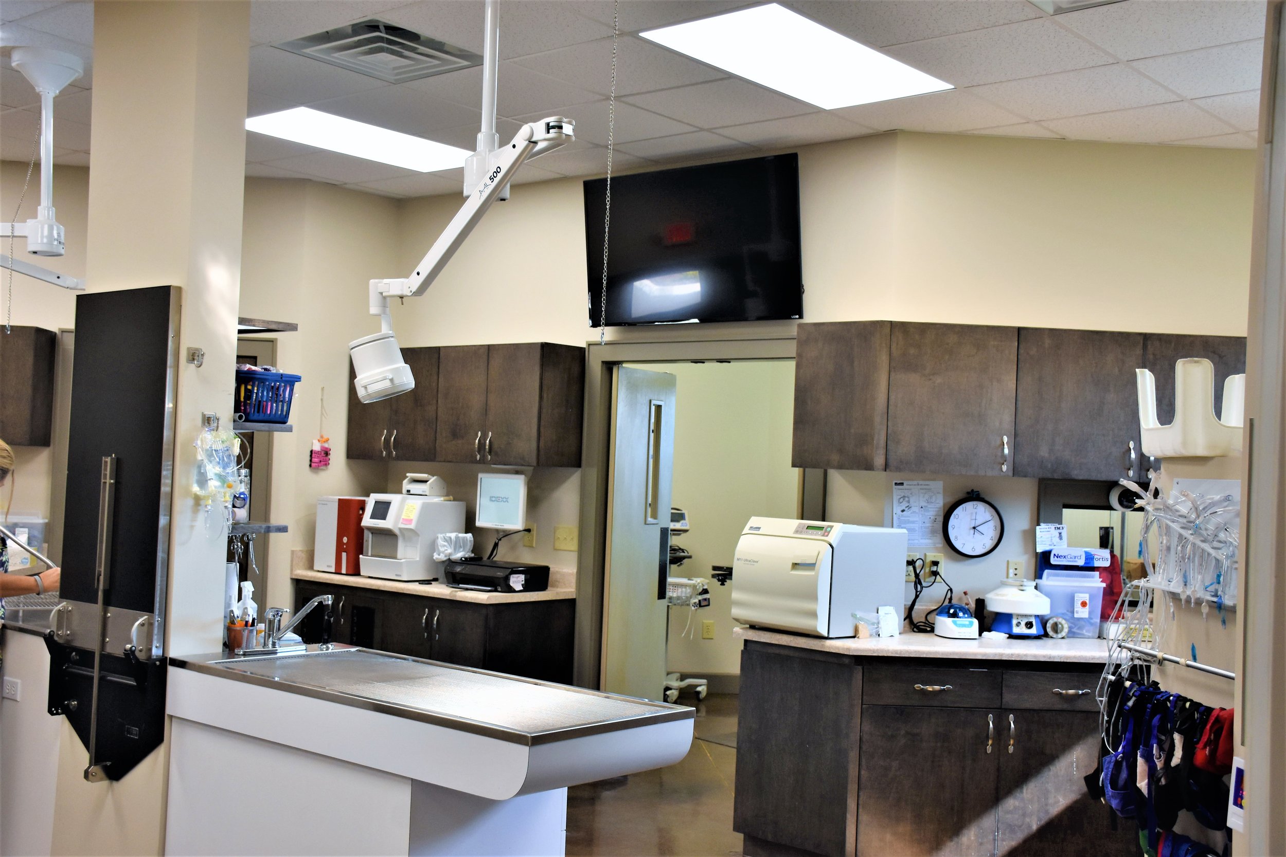 Treatment Area