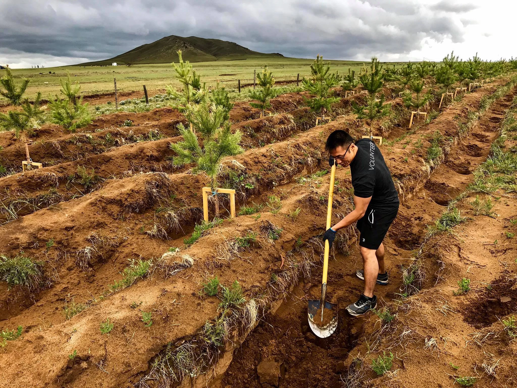 Our beloved Trek Relief 3x returnee Chuck Chan wards off desertification on the Mongolian steppe by sponsoring and planting trees.