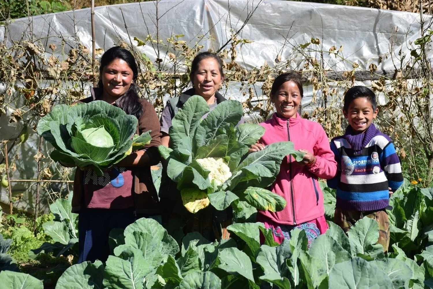 Four Nepali women and one boy holding up their harvest, smiling in a garden surrounded by large green cabbage plants.