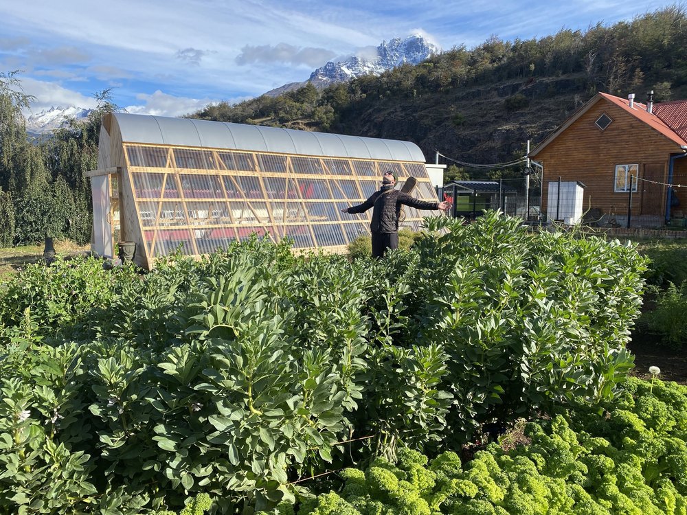 Patagonia+Volunteer+Greenhouse+Garden.jpg