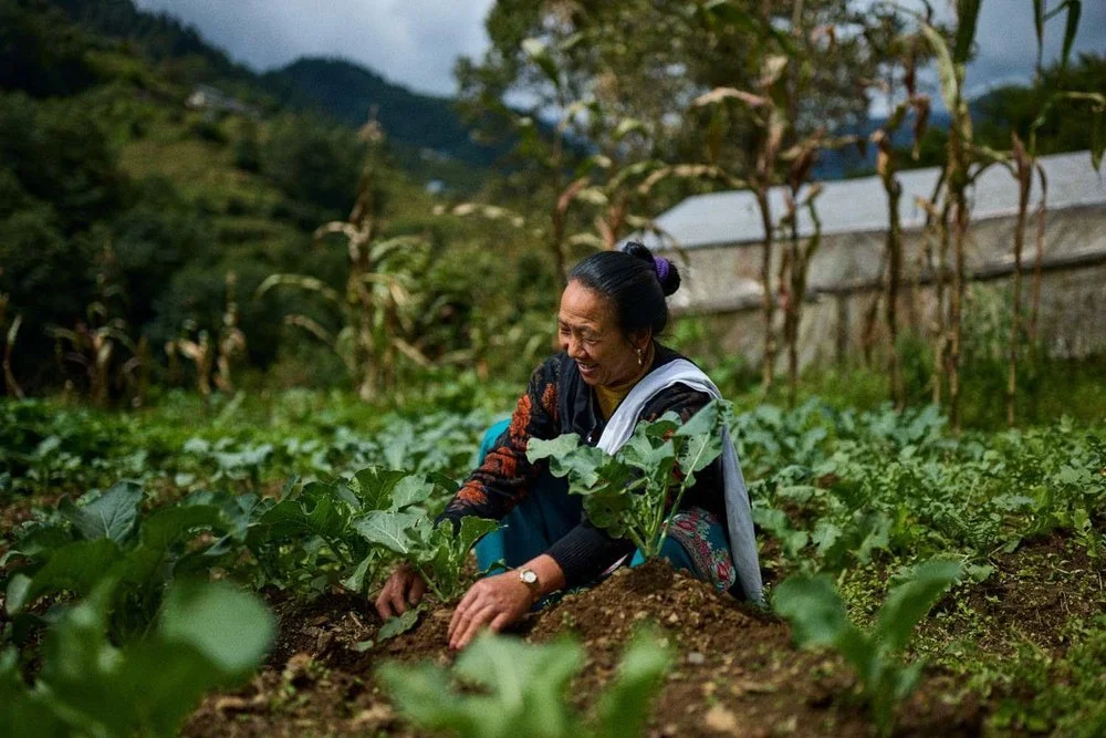 Trek Relief’s Role in Transforming Agriculture, Women’s Leadership, and Education in Nepal