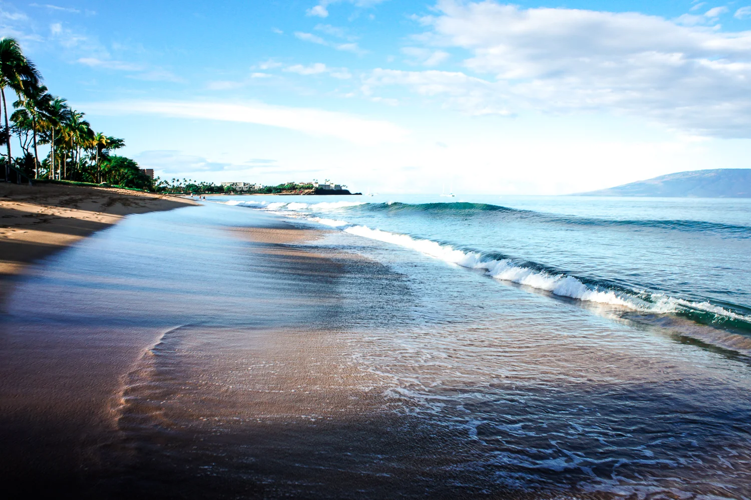 travelcouplehawaii2011 (81 of 91).jpg