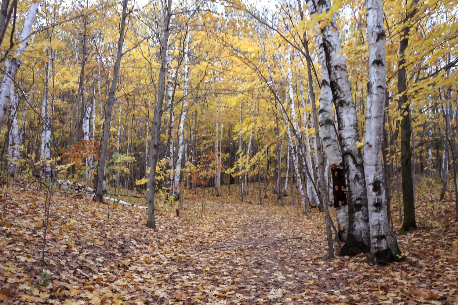 travelcoupletraversecity2015 (2 of 47).jpg
