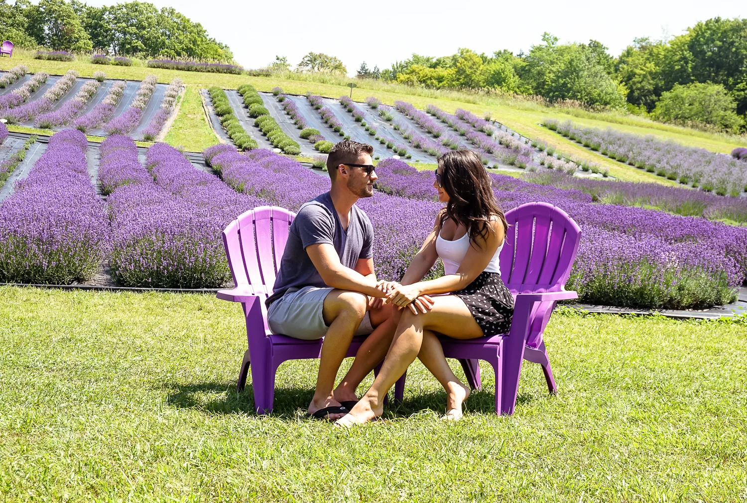 lavenderfieldsreedit (40 of 45).jpg