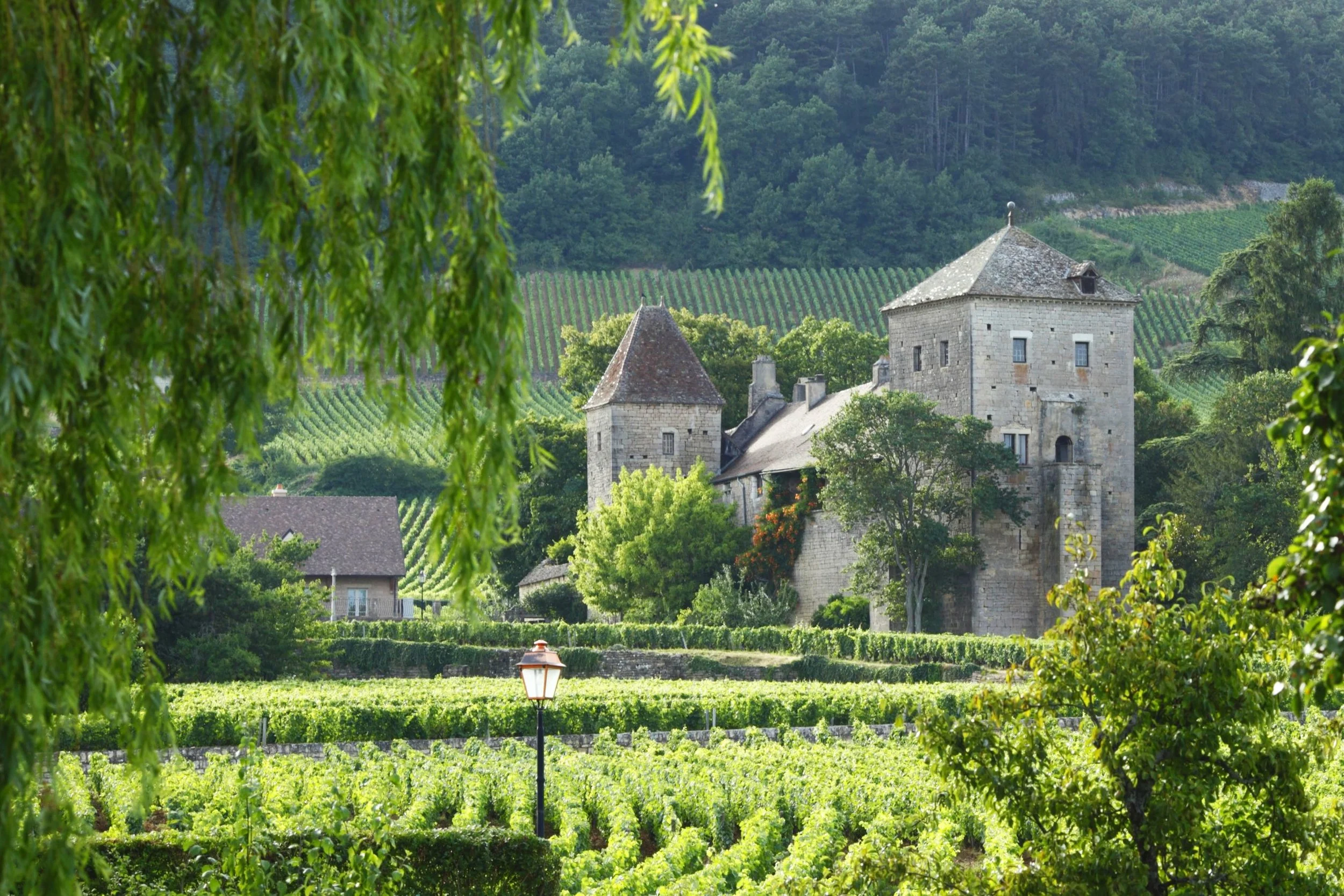 Burgundy-Gevrey-Chambertin-21709126_l.jpg