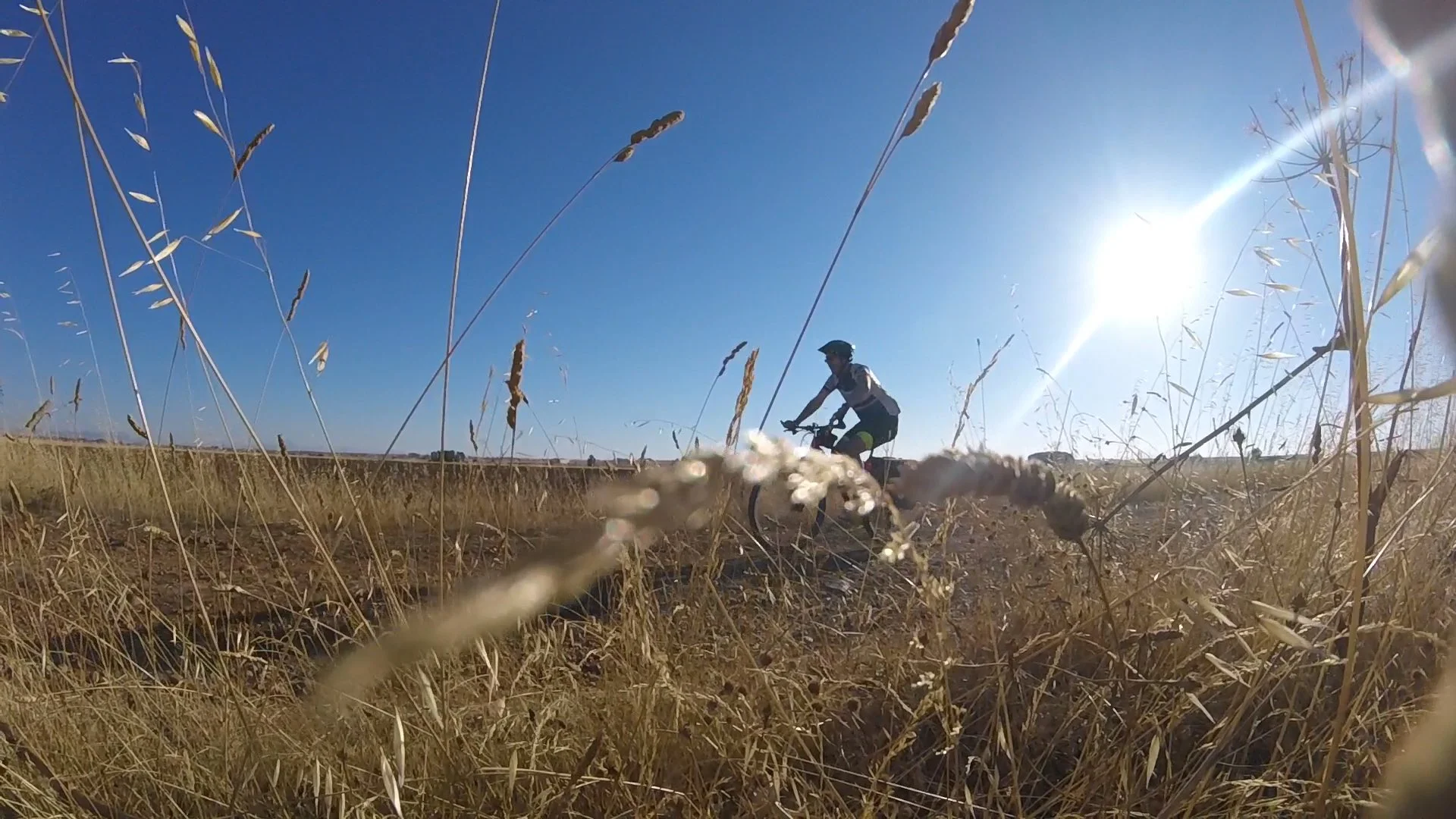 The Camino: the world's best kept cycling secret