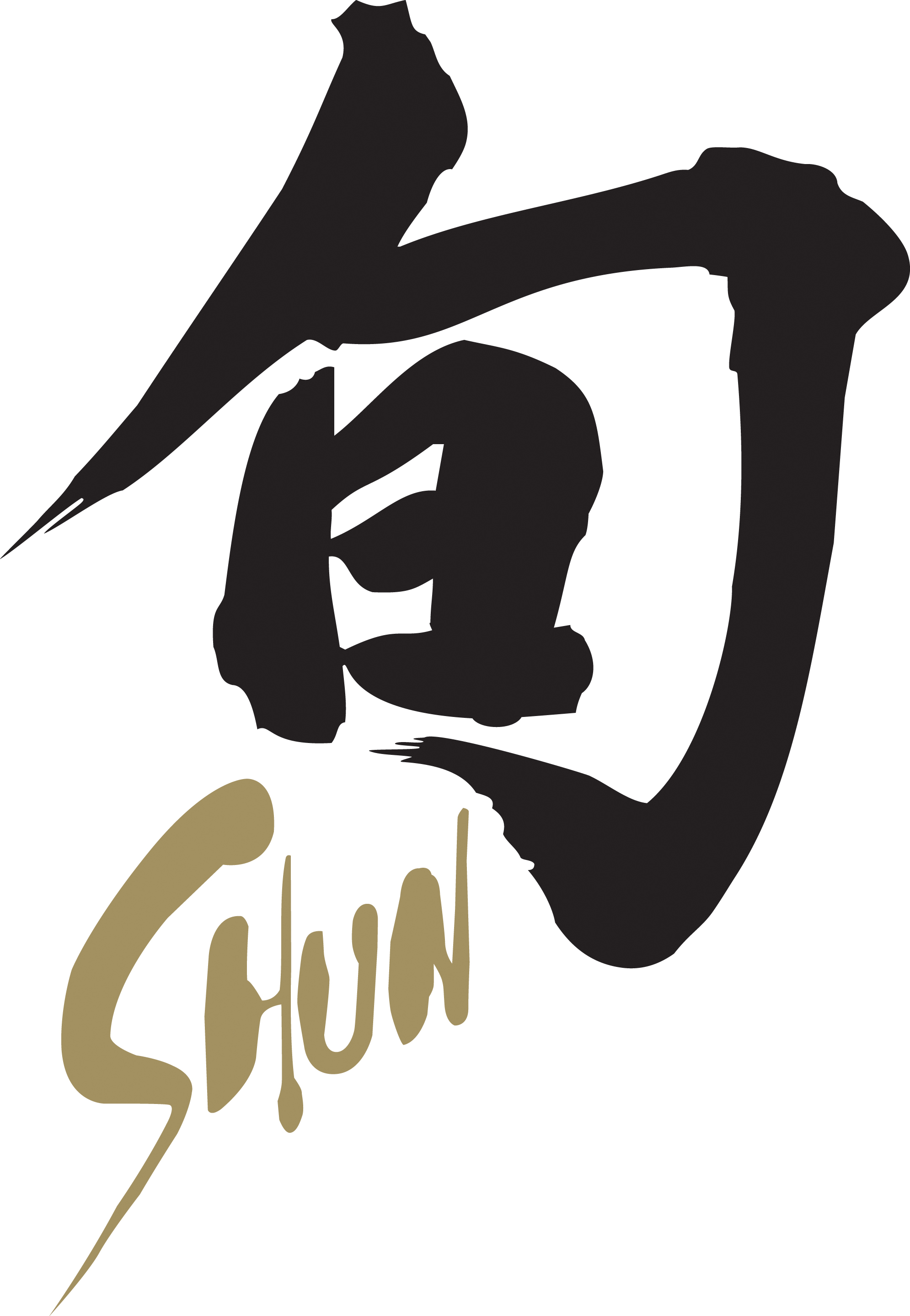 Shun Culinary Knives
