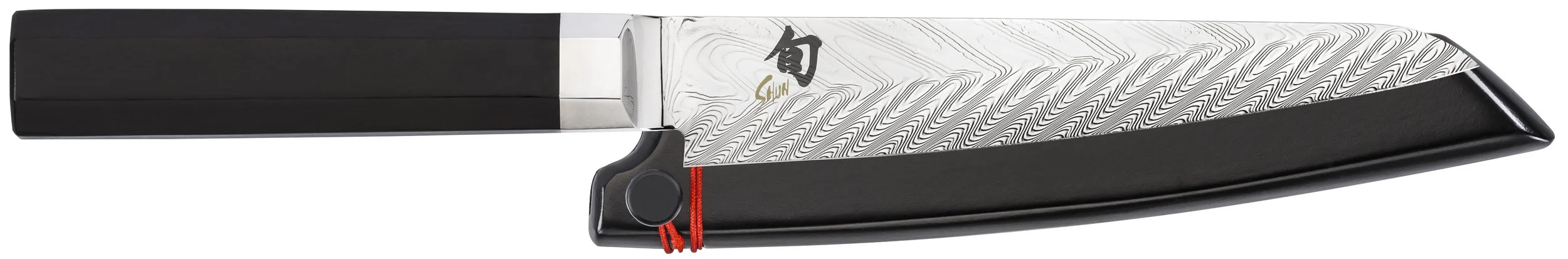 Shun Dual Core