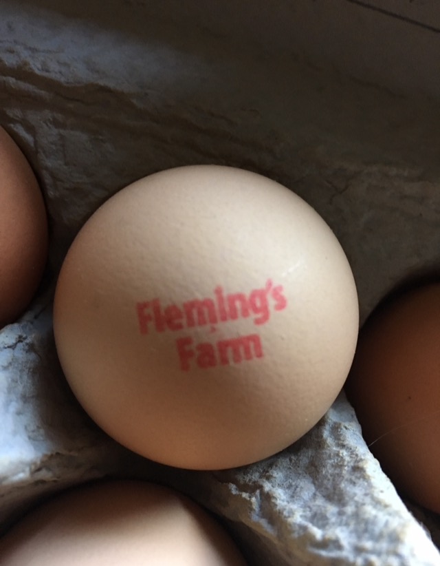 An egg from one of Jamell’s chickens, provided by him for this post