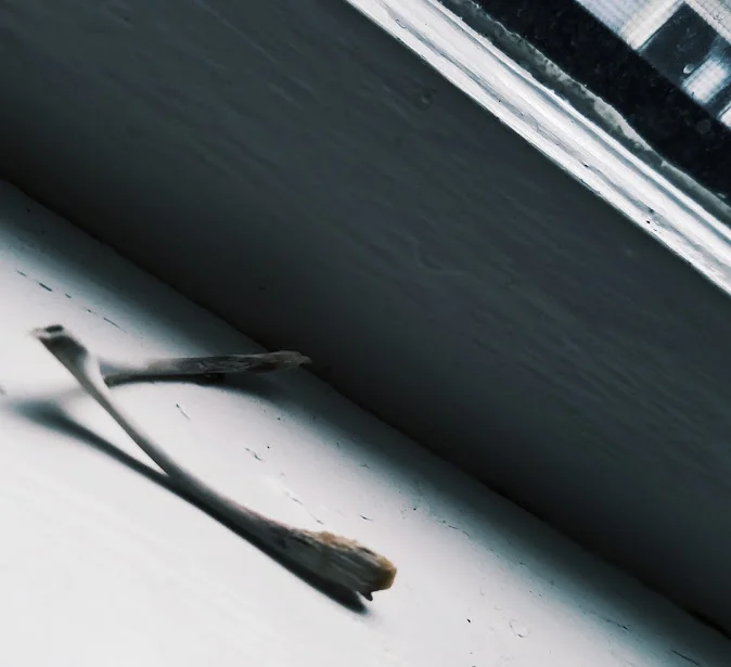 Wishbone Windowsill.jpg