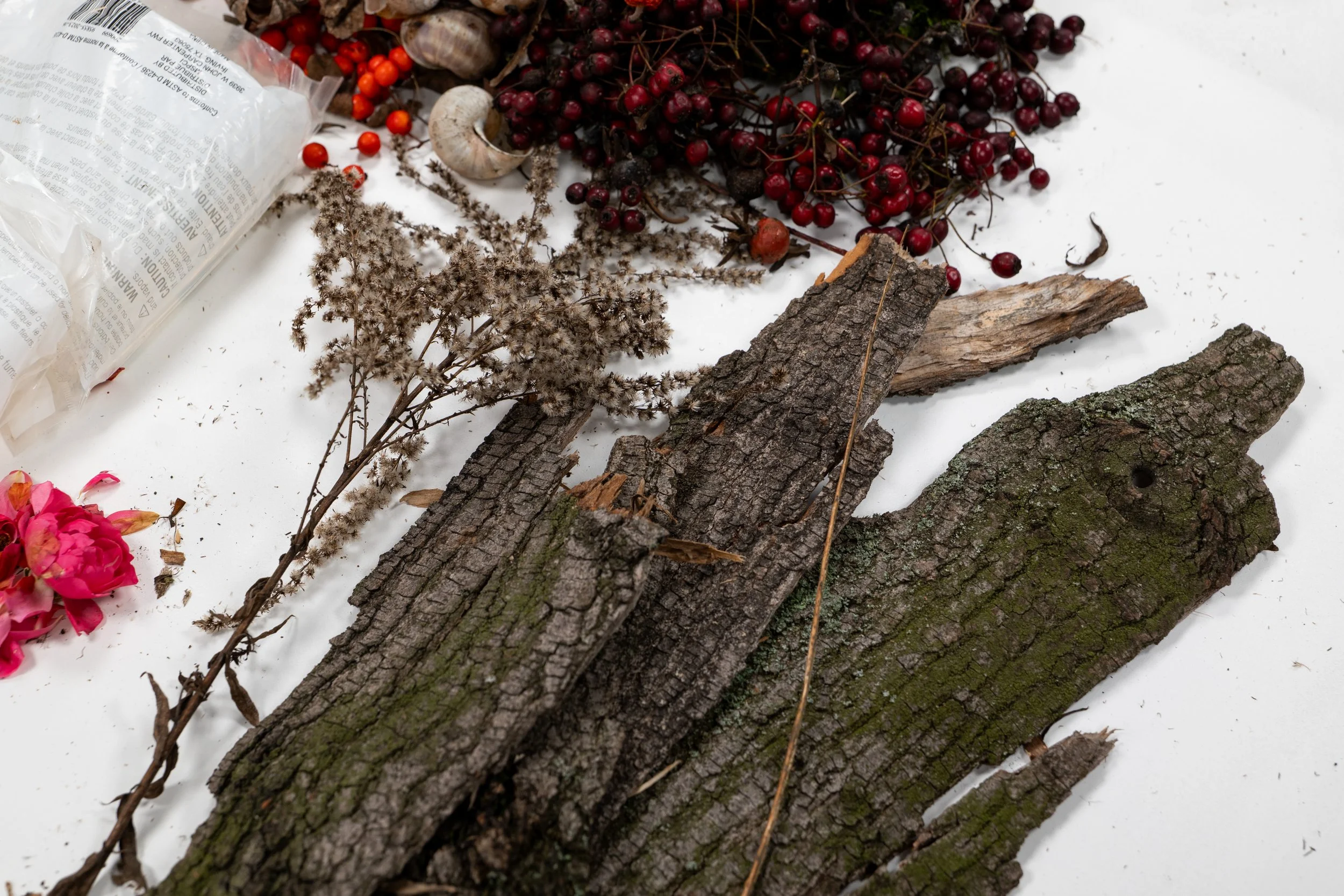 Trupa Marzann-2025-Michelle Cieloszczyk-2.jpg