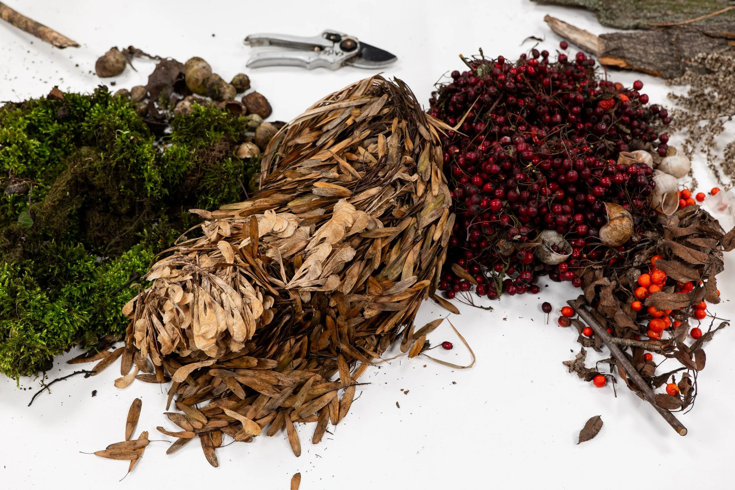 Trupa Marzann-2025-Michelle Cieloszczyk-5.jpg