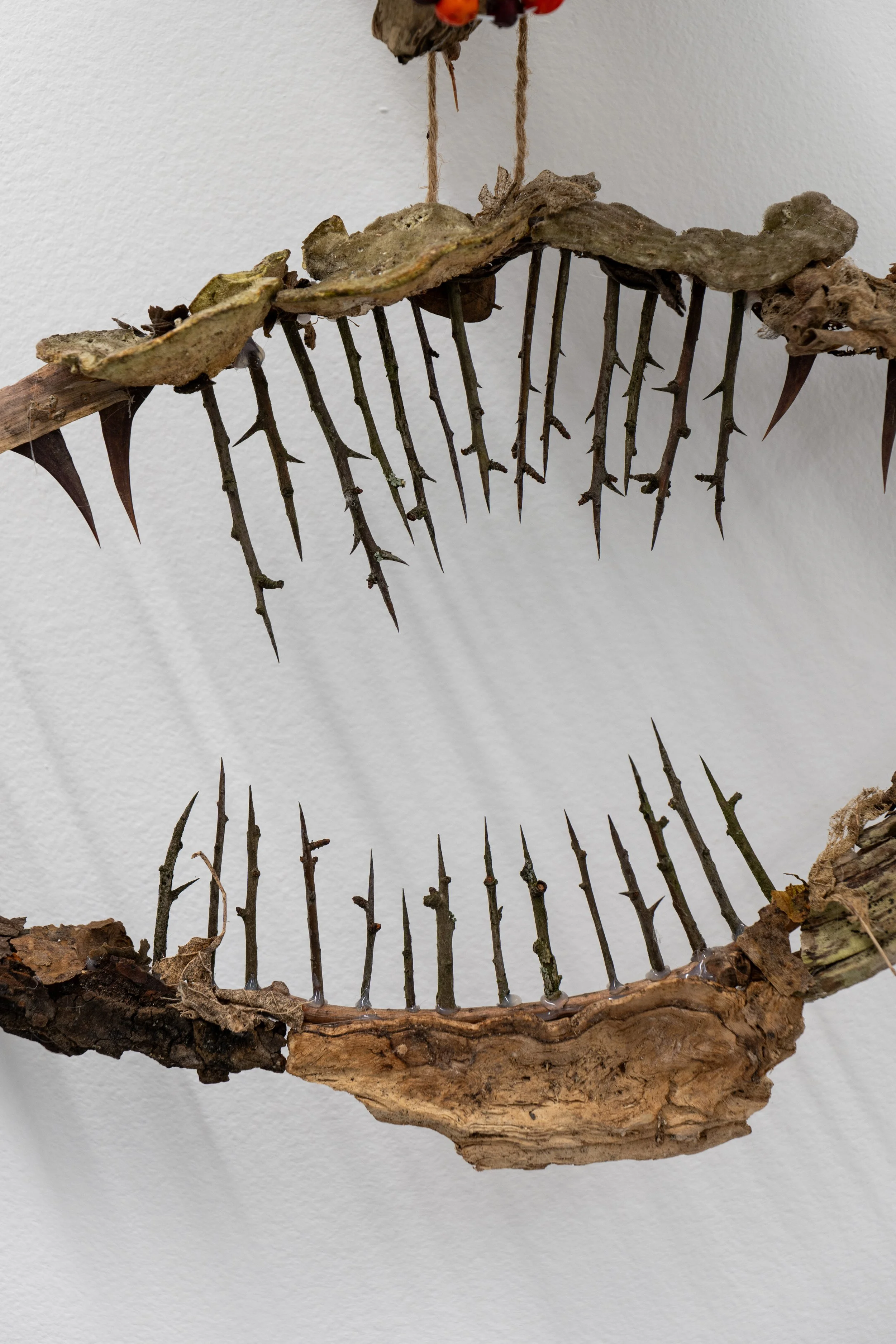 Trupa Marzann-2025-Michelle Cieloszczyk-95.jpg