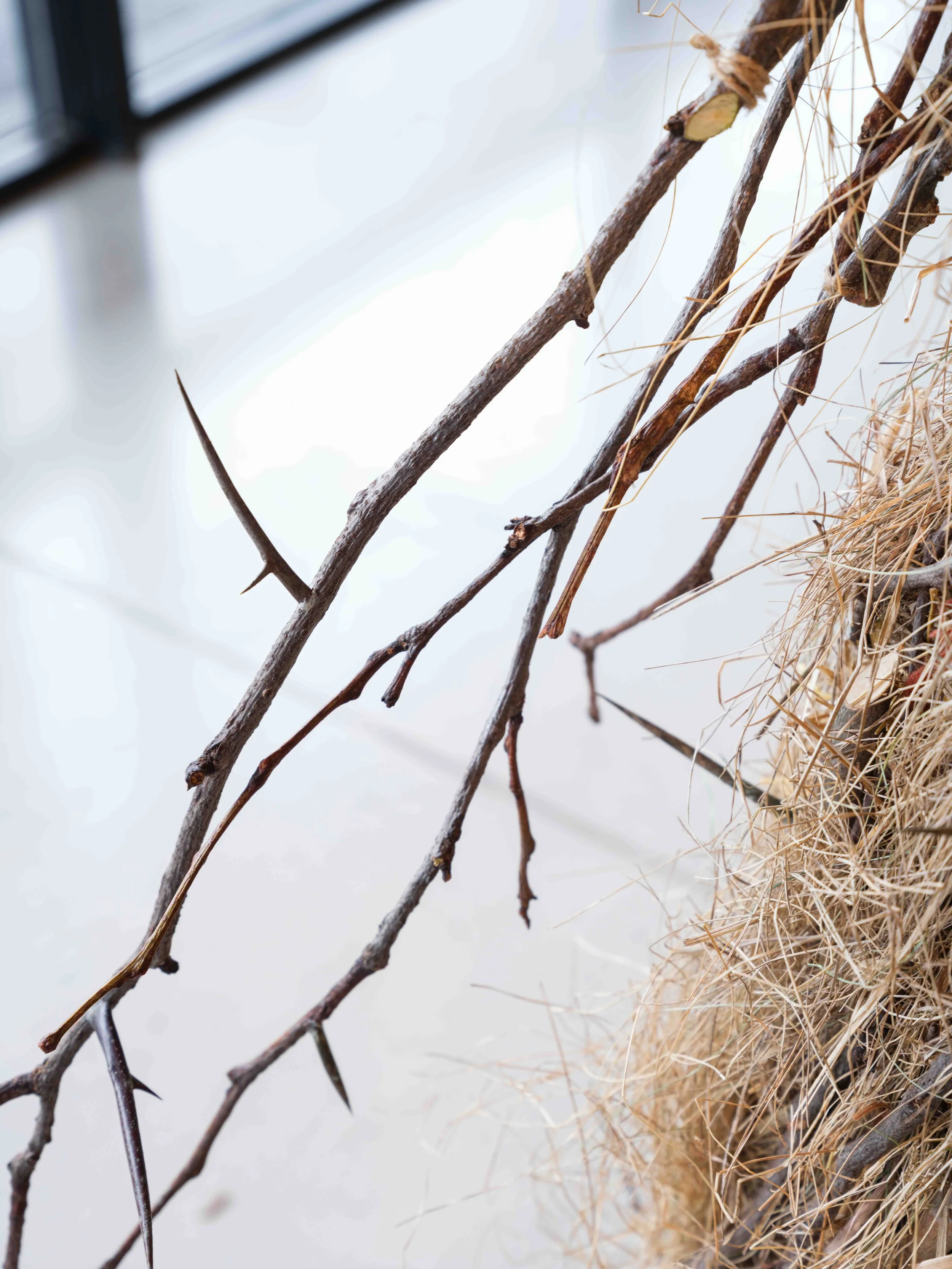 O, Marzanno!_2026-23.jpg