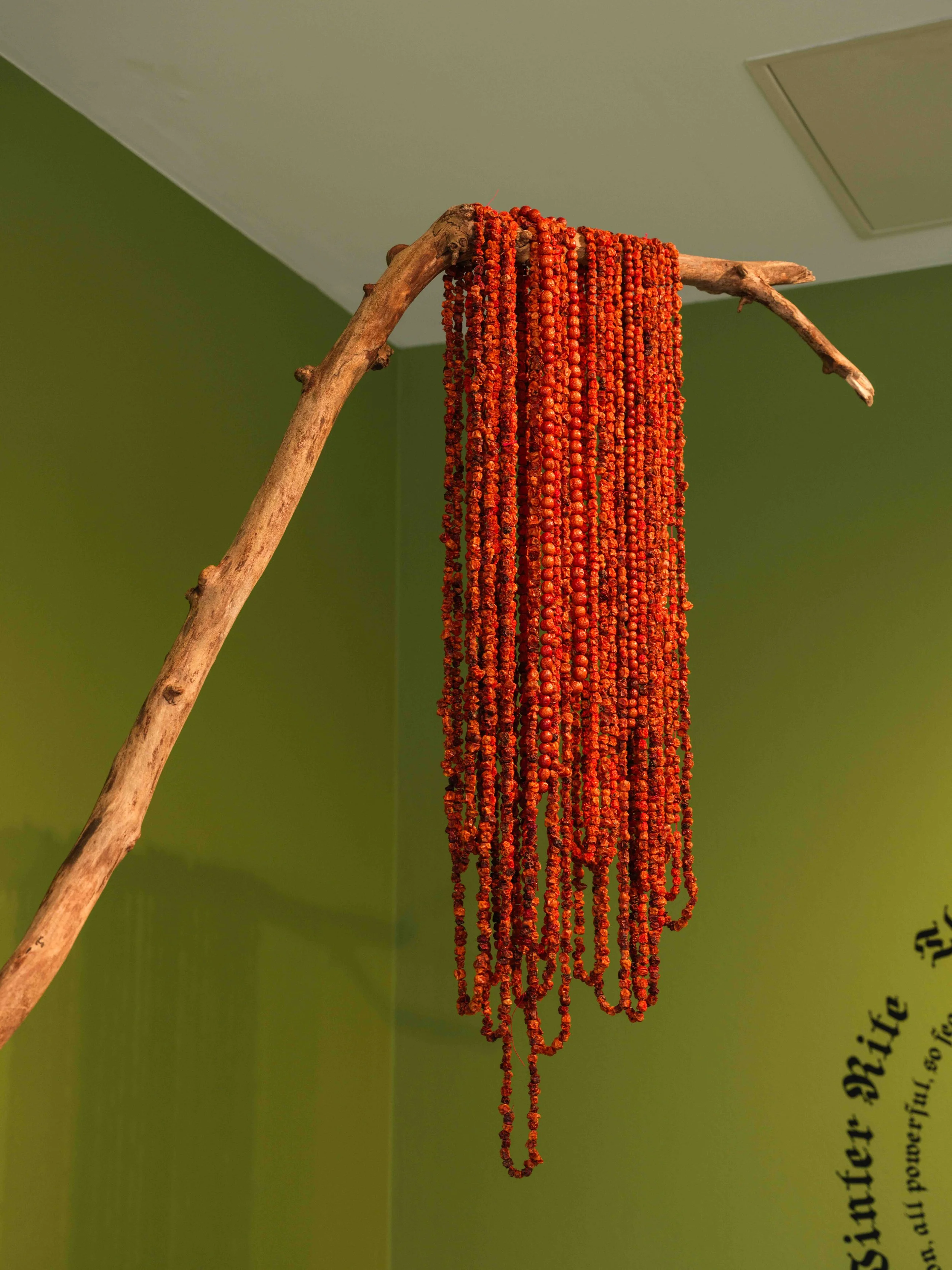 O, Marzanno!_2026-40.jpg